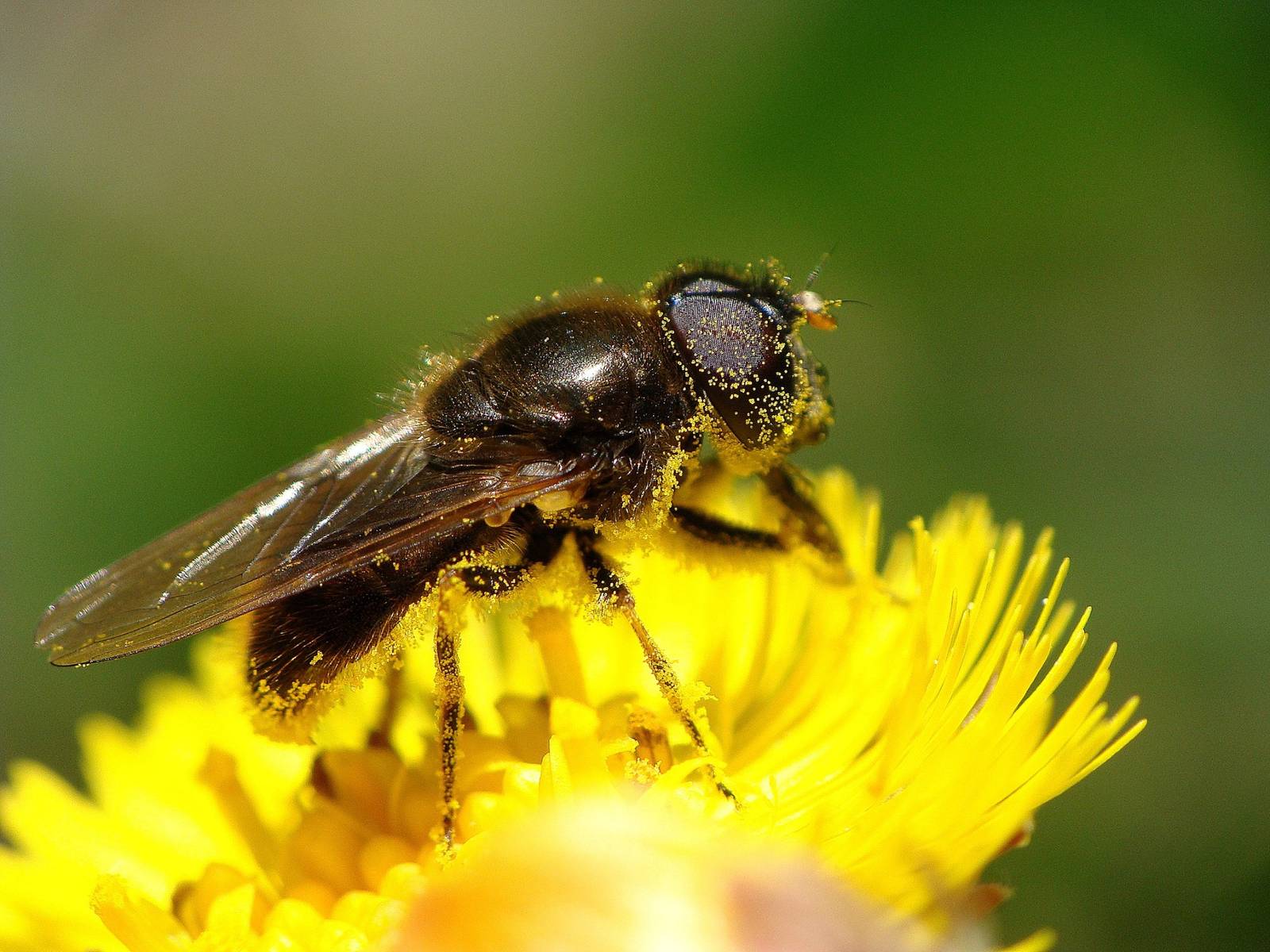 Already working  :) 02.04.2016