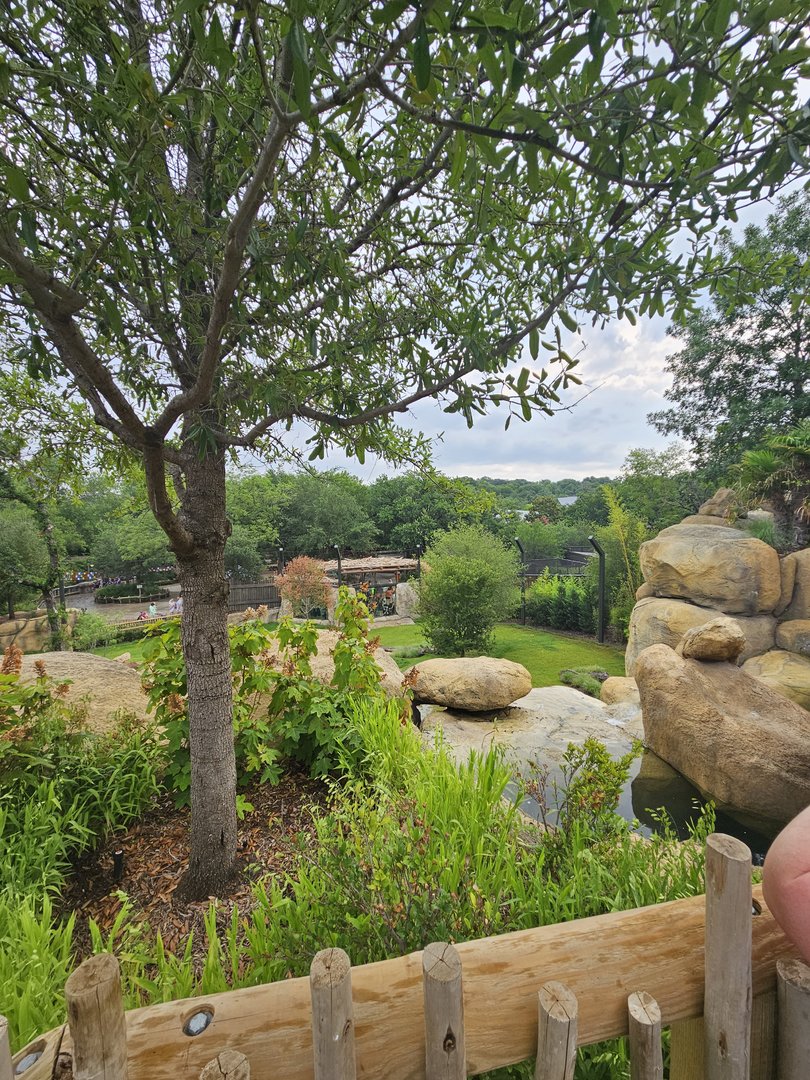 Also the lion overlook