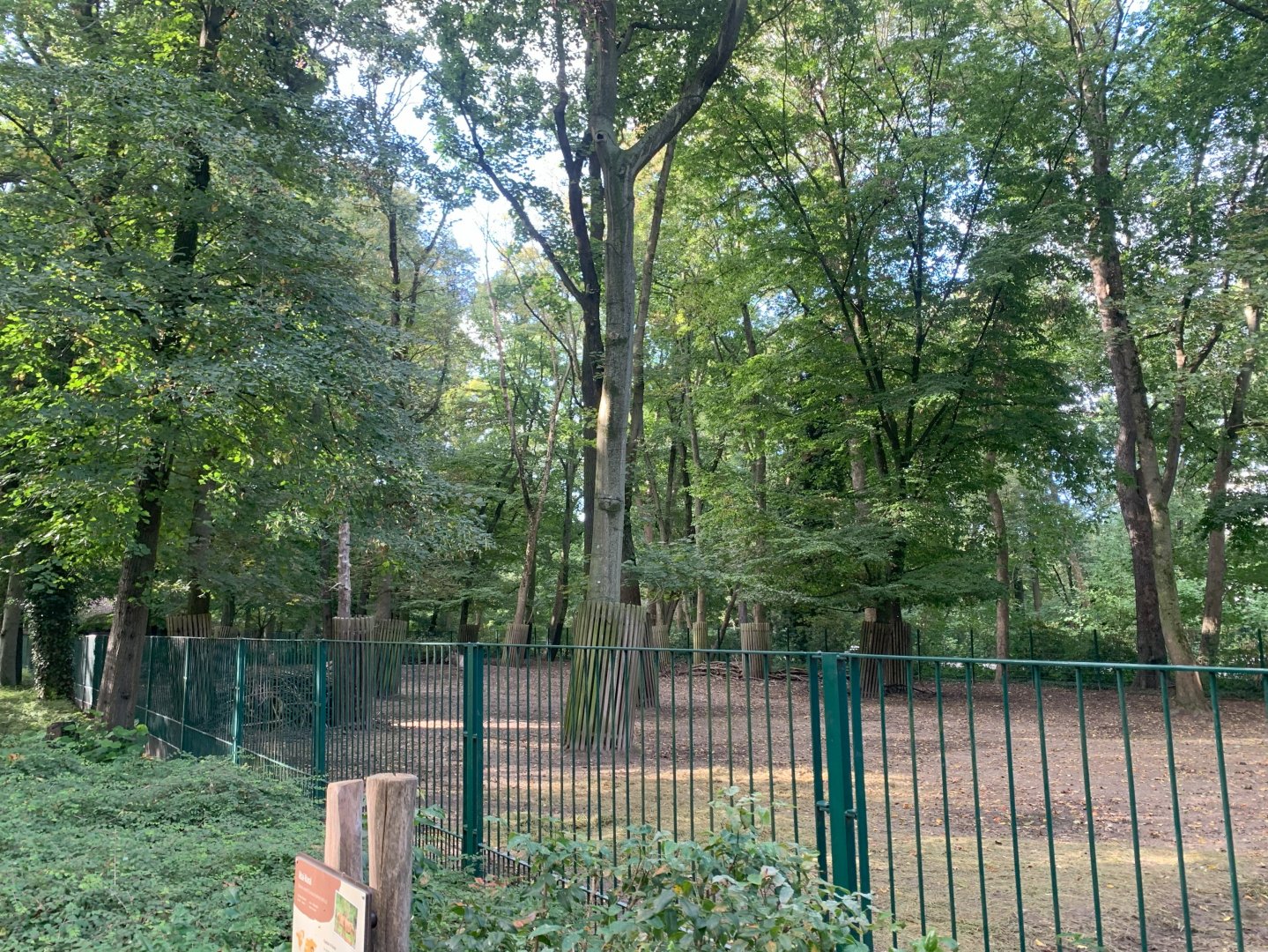 Altai Wapiti enclosure