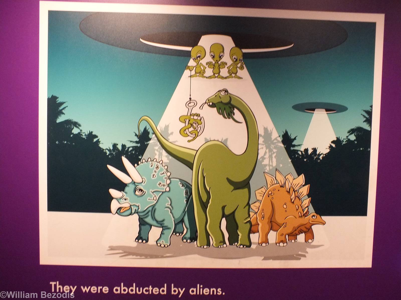Alternate Theory on Dinosaur Extinction - NHM London