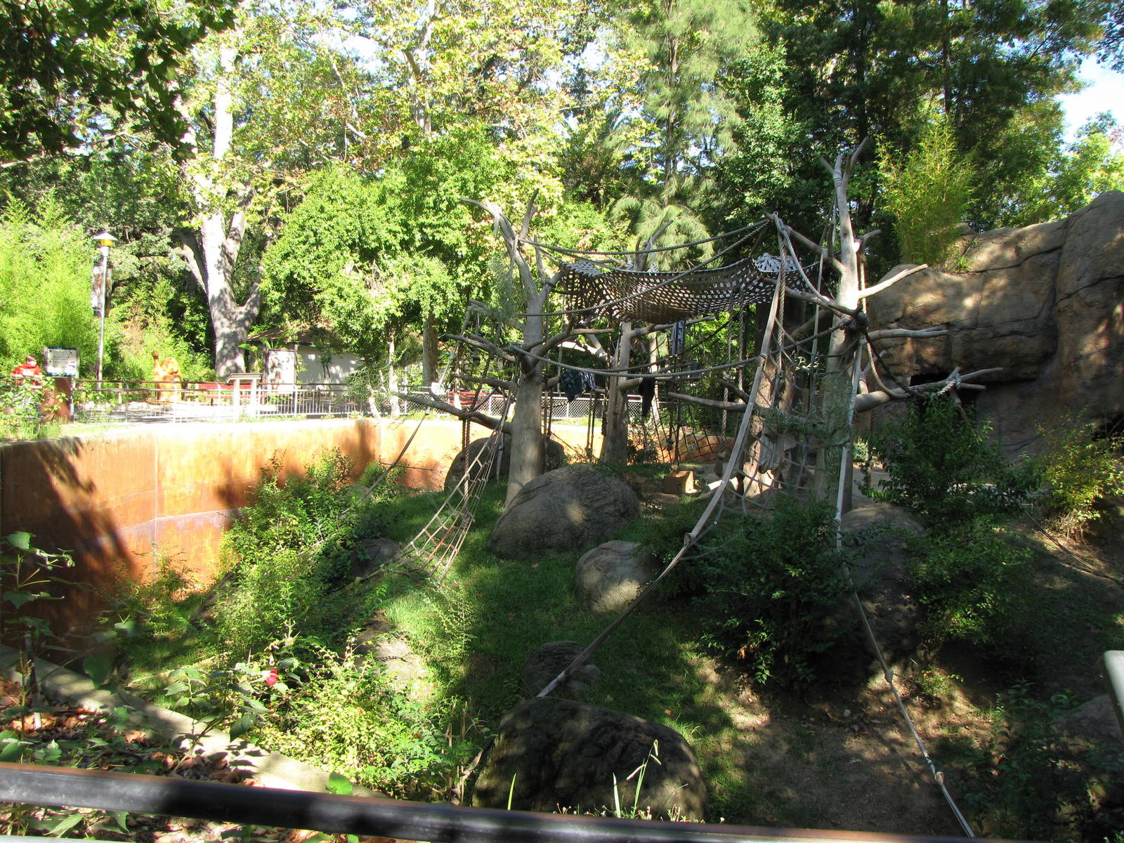 Alternate View of Orangutan Habitat