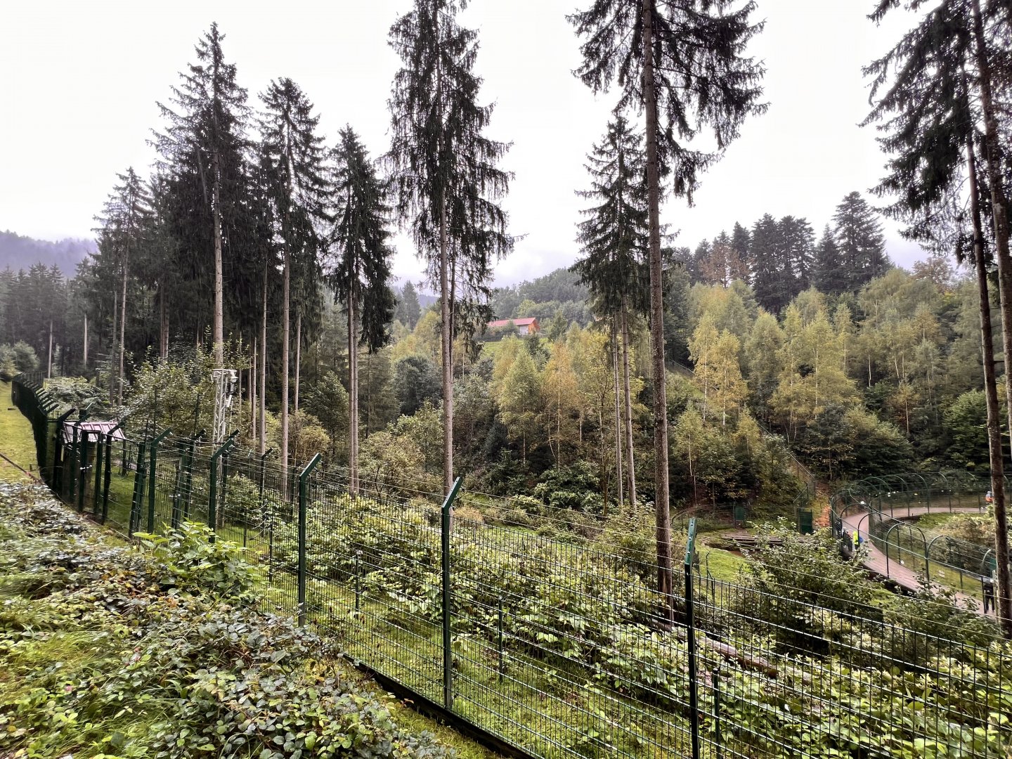 Alternative Wolf and Bear Park Black Forest- Brown Bear & Wolf Enclosure