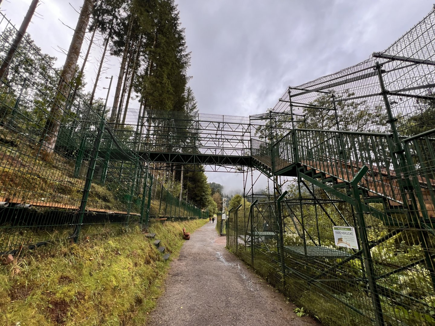 Alternative Wolf and Bear Park Black Forest- Future “Bear Bridge”