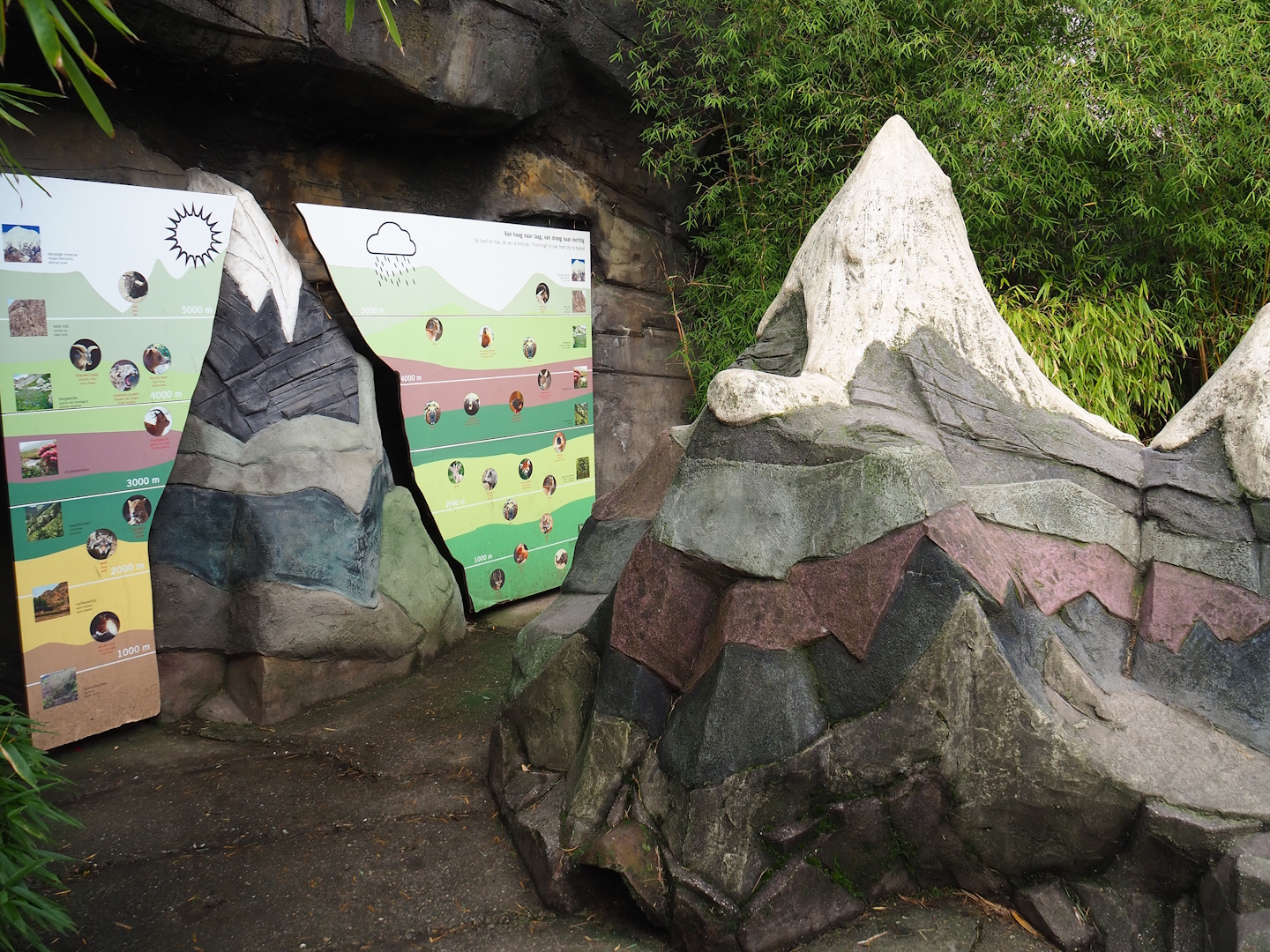 Altitudinal zonation of habitats in the Himalayas educational display, 2024-02-17