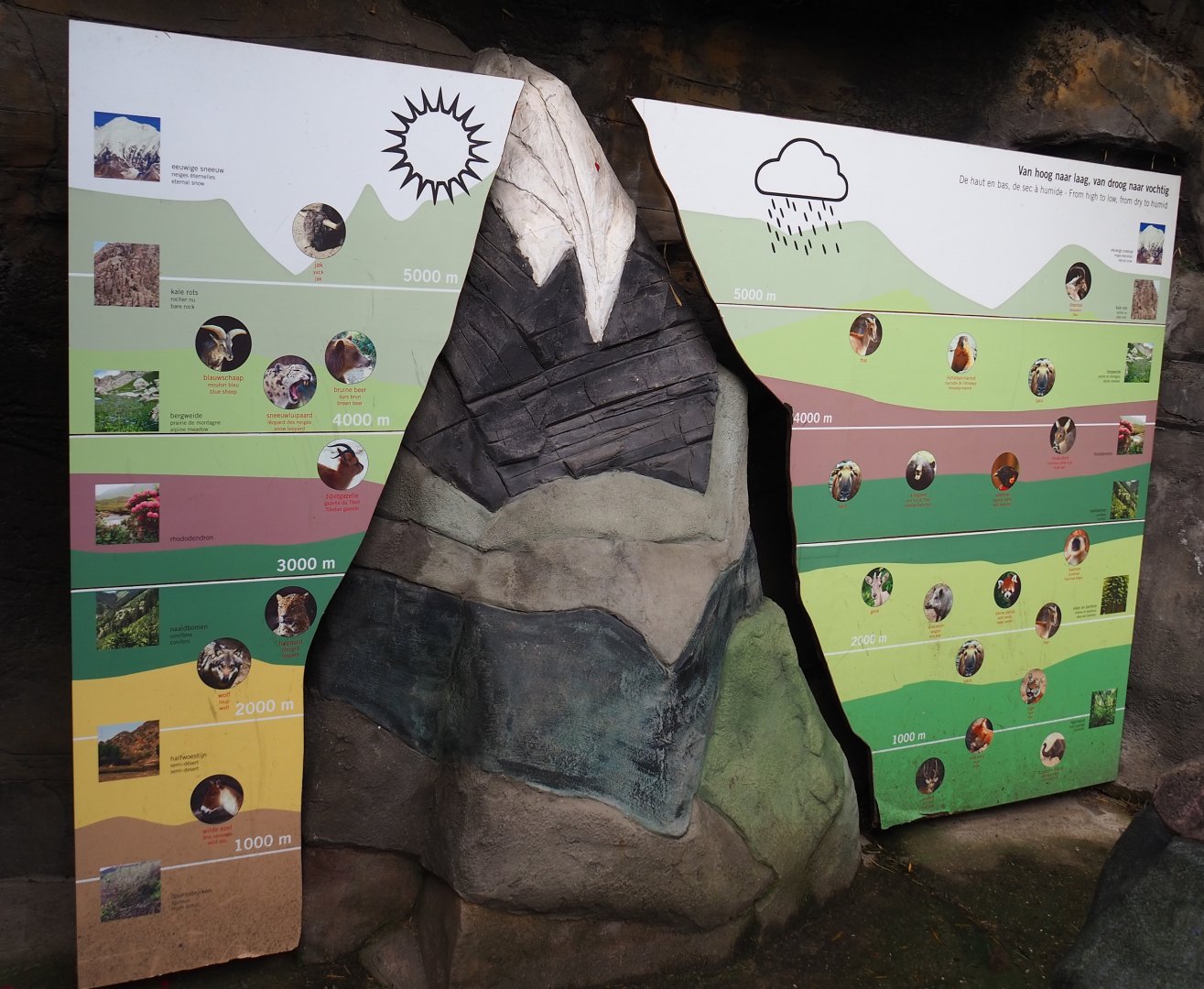 Altitudinal zonation of habitats in the Himalayas educational display, 2024-02-17