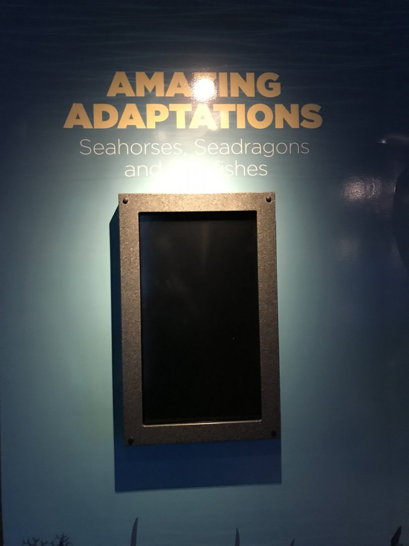 "Amazing Adaptations" entrance sign
