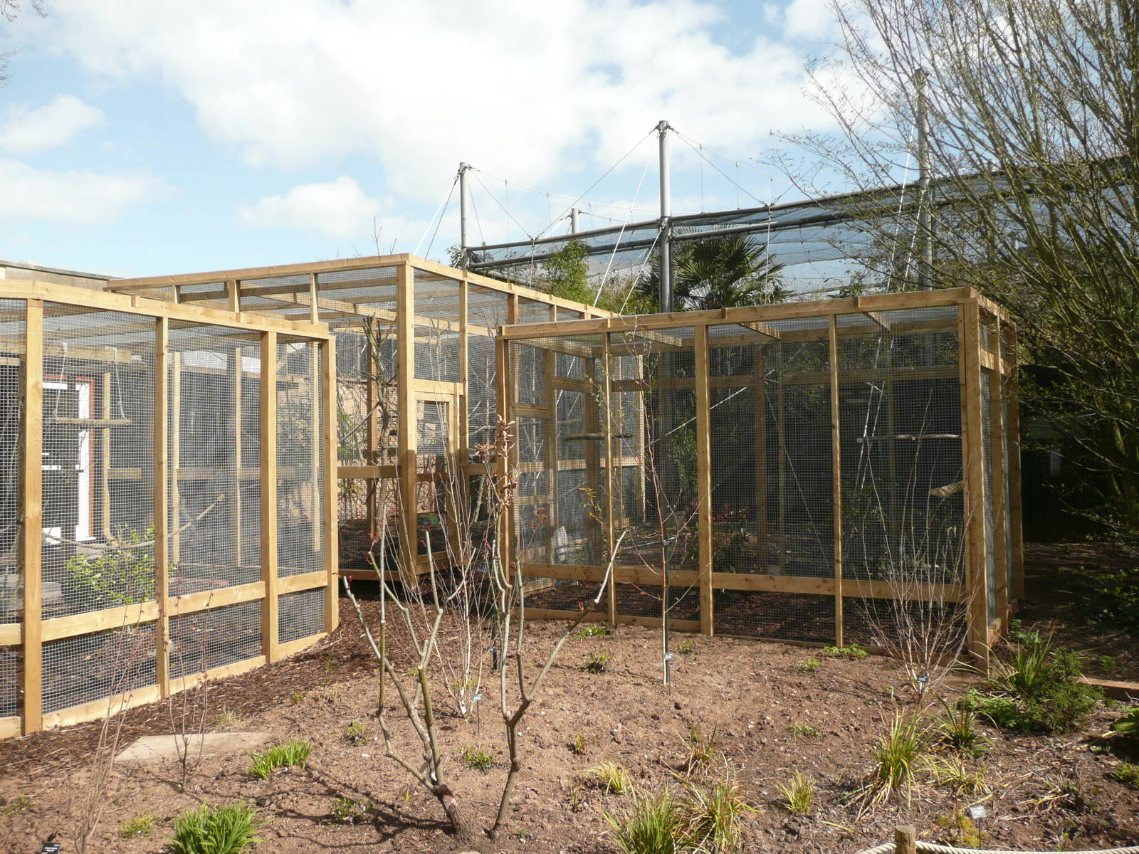 Amazing Animals enclosures