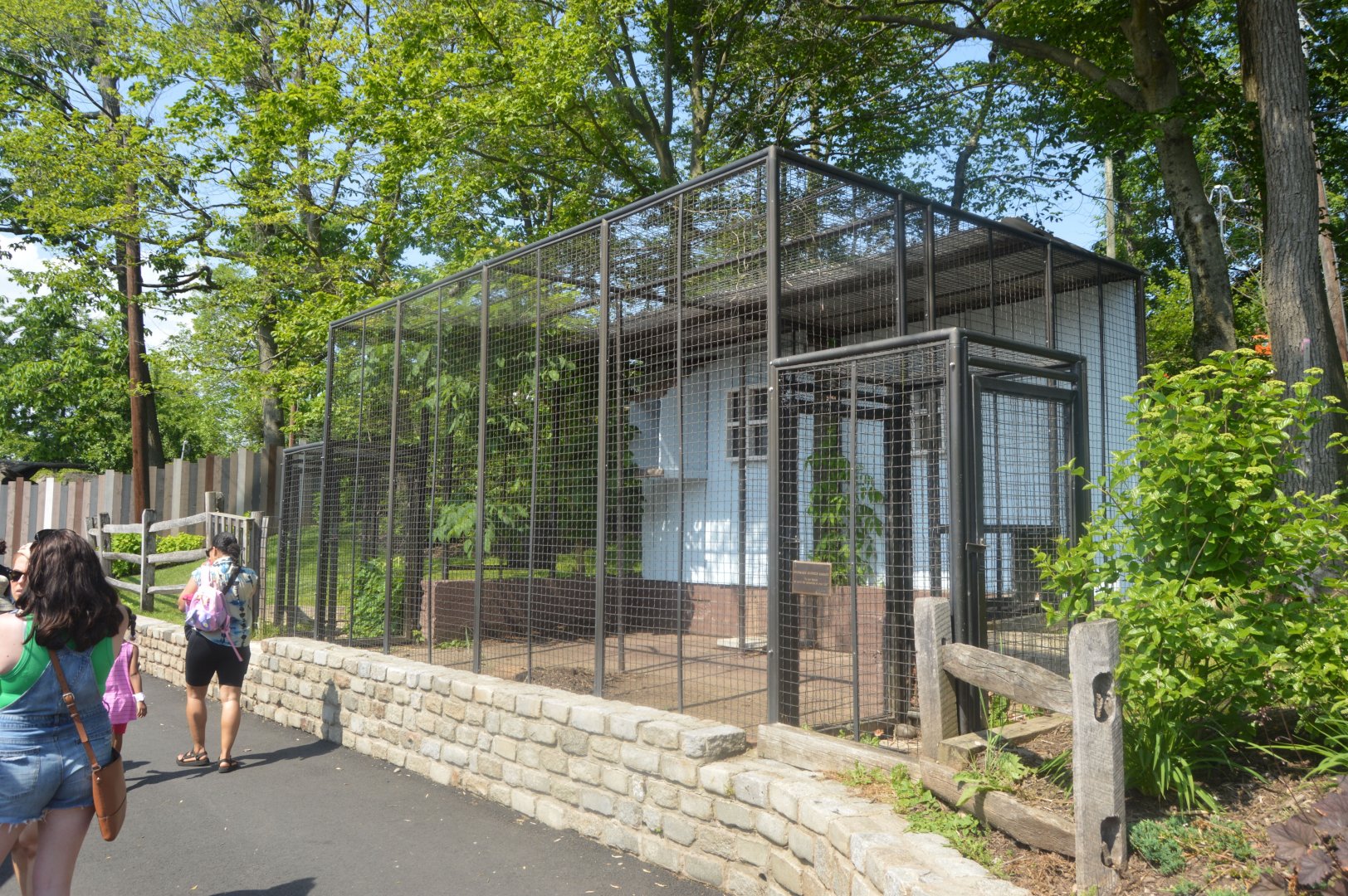 Amazing Asia - Empty Cage