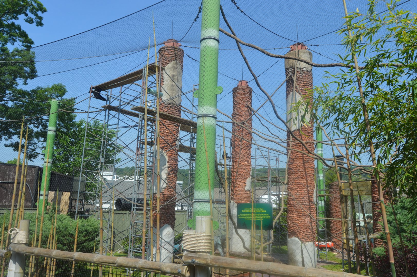 Amazing Asia - Northern White-cheeked Gibbon (Nomascus leucogenys) Exhibit
