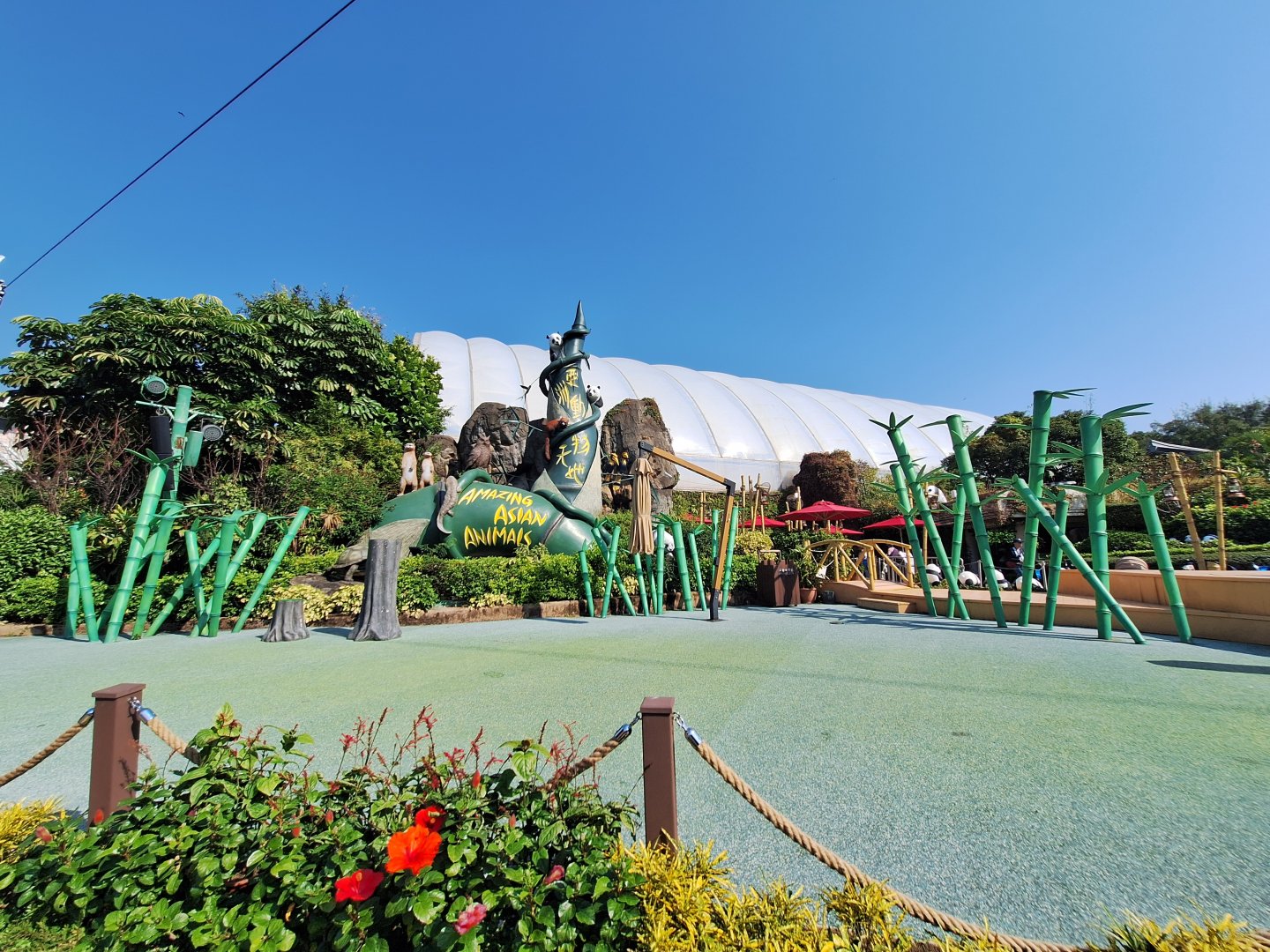 Amazing Asian Animals Plaza