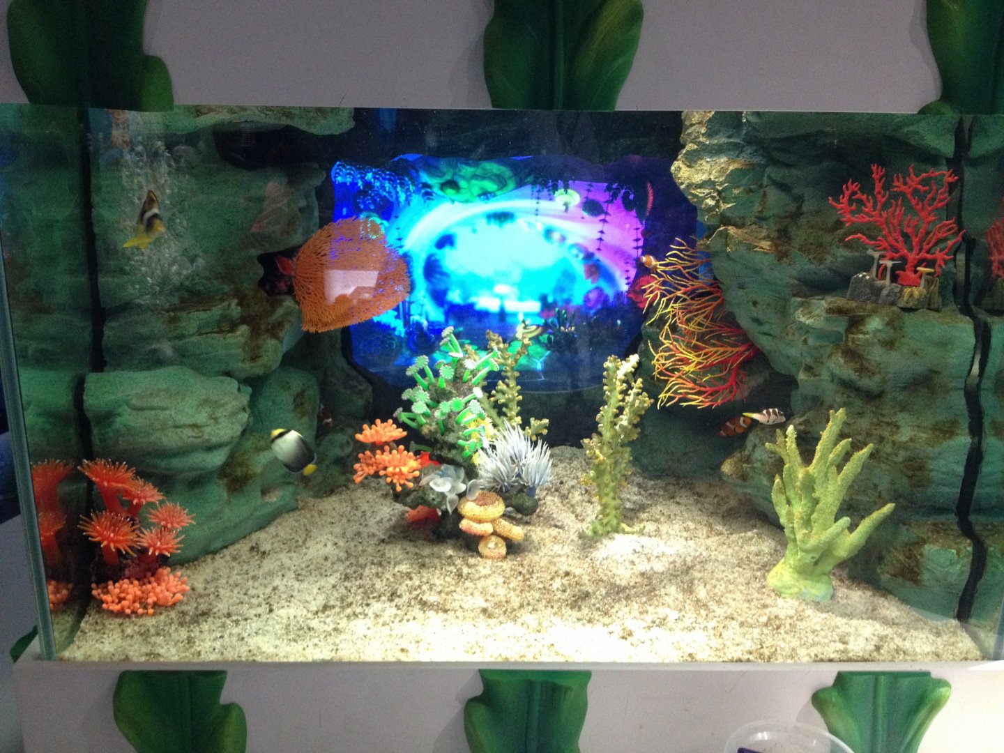 Amazing Creations interactive aquarium