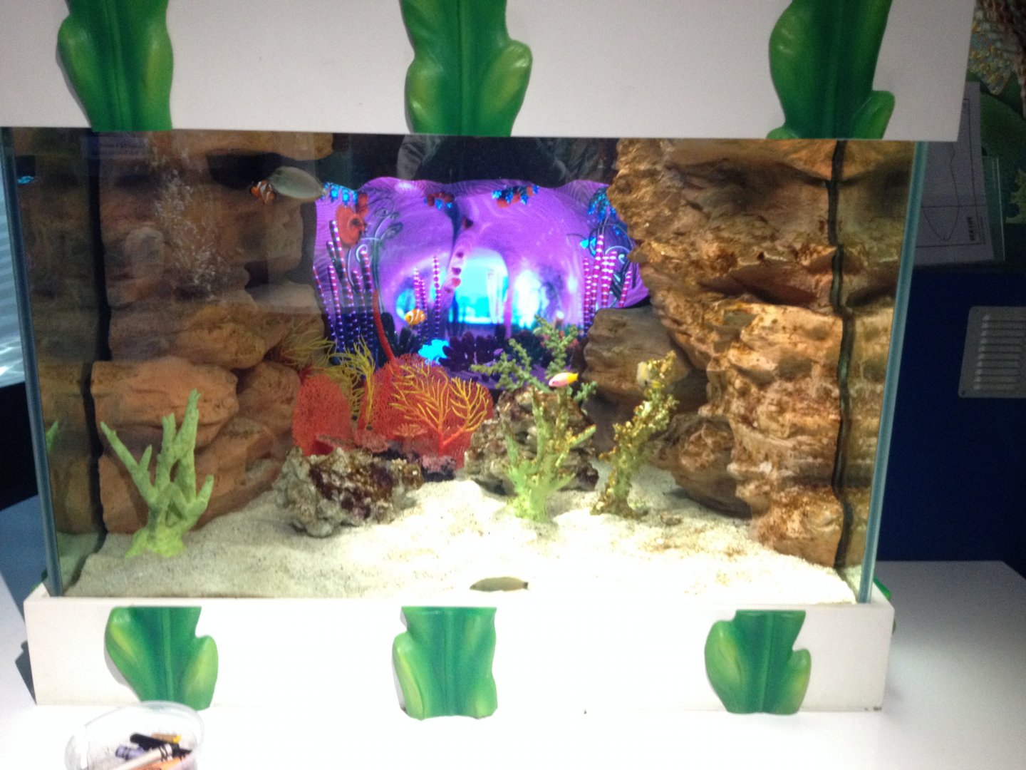 Amazing Creations interactive aquarium