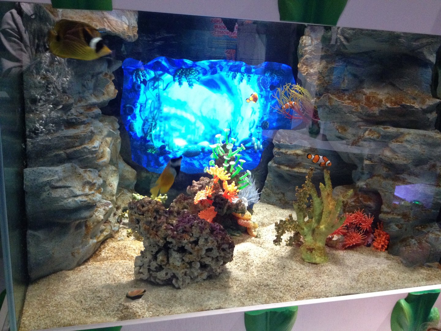 Amazing Creations interactive aquarium