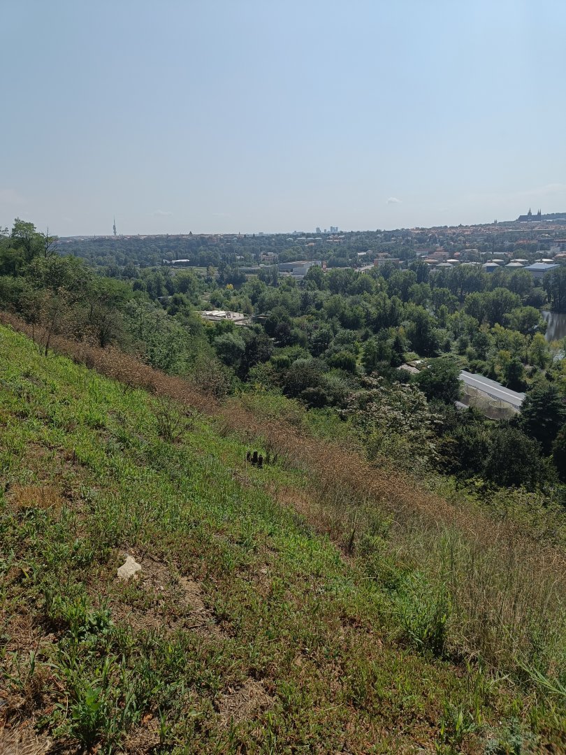 Amazing view from near restaurant