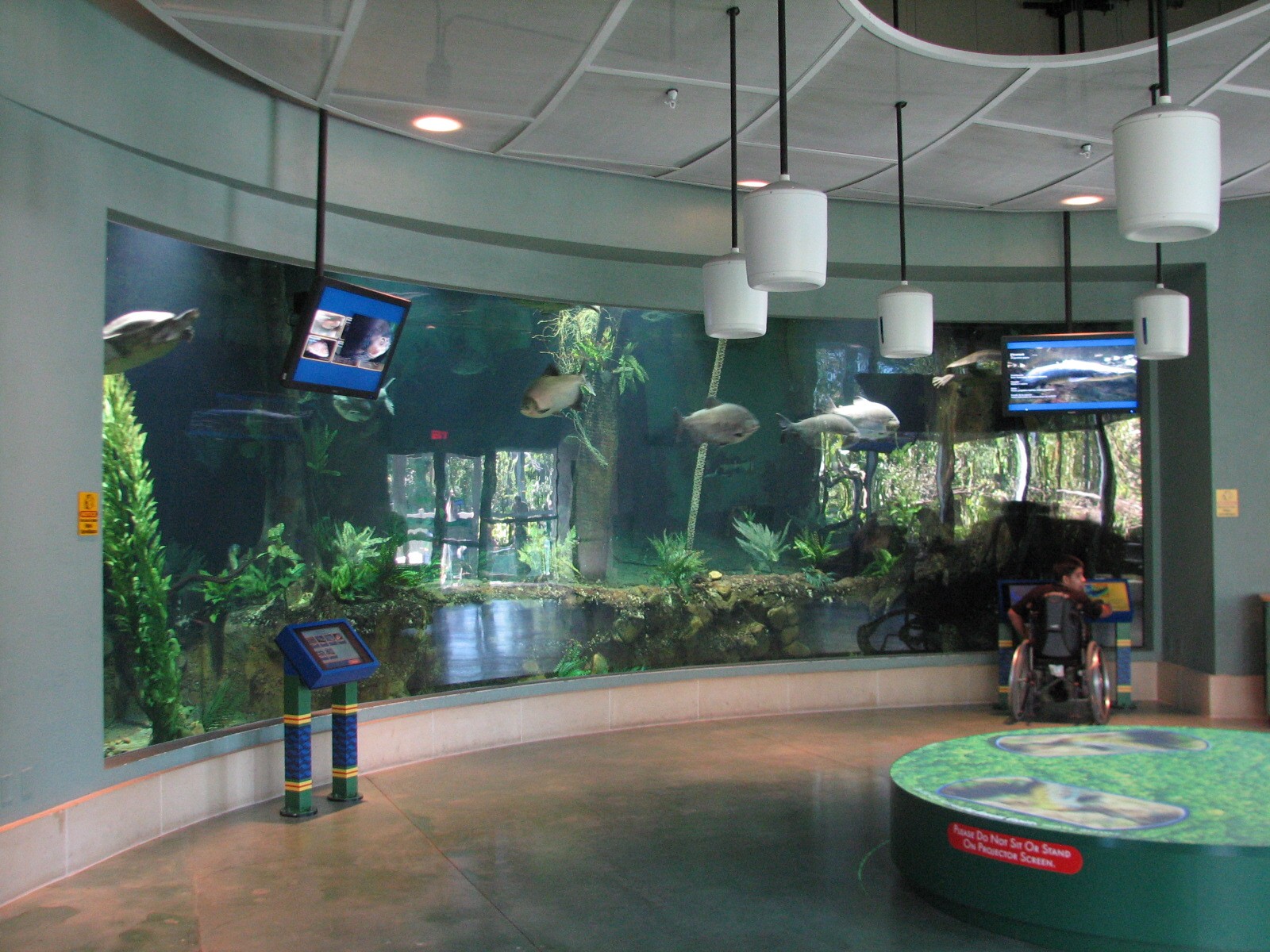 Amazon and Beyond - Amazon - Flooded Forest Aquarium