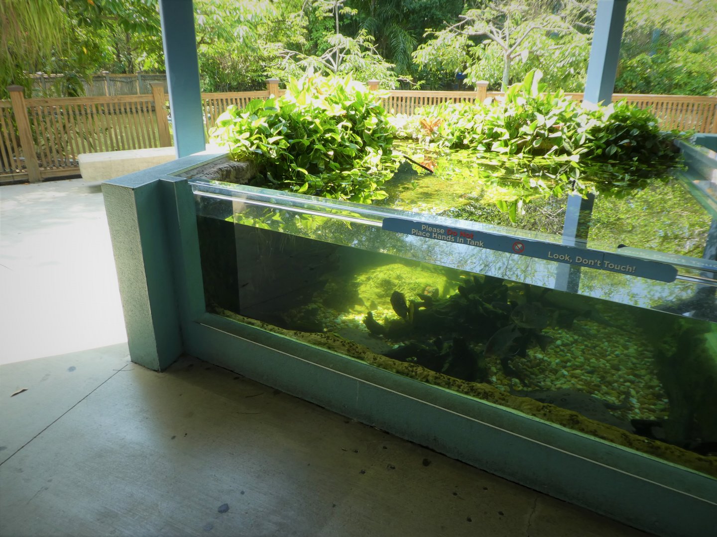 Amazon and Beyond - Amazon: Land of the Giants - Amazon Tank