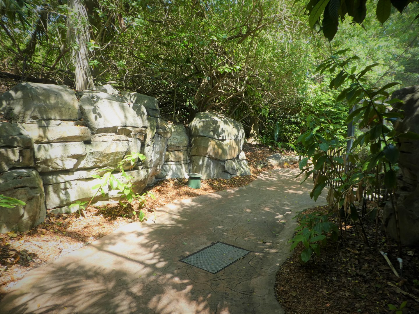 Amazon and Beyond - Amazon: Land of the Giants - General View