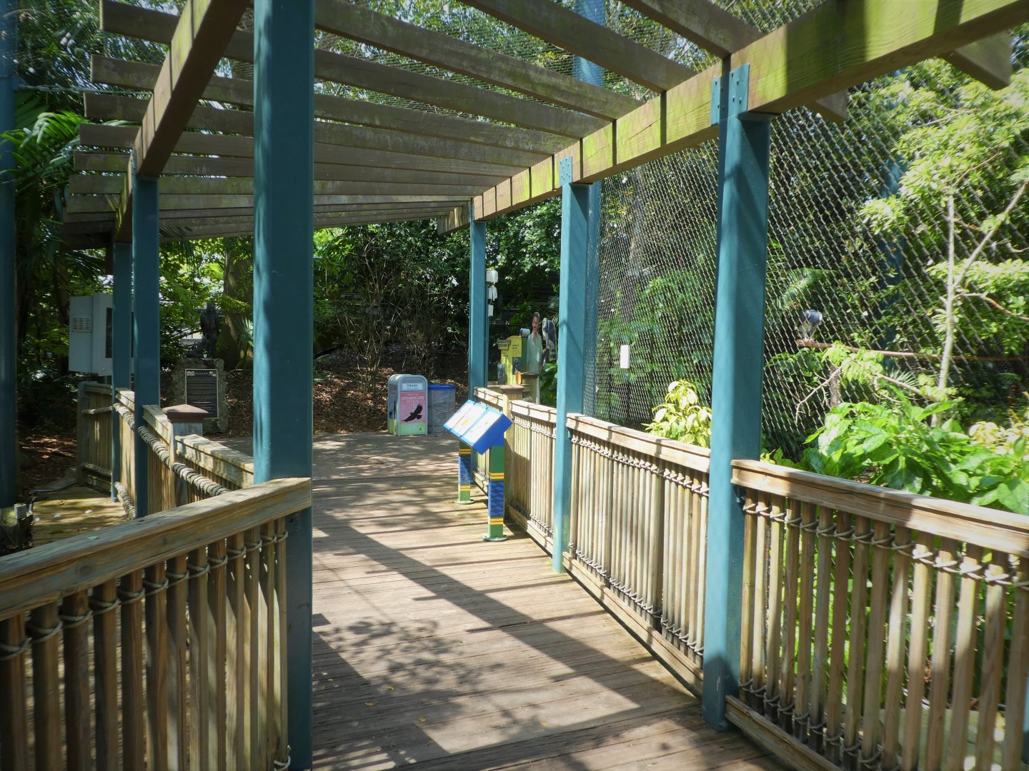 Amazon and Beyond - Amazon: Land of the Giants - Harpy Eagle Exhibit