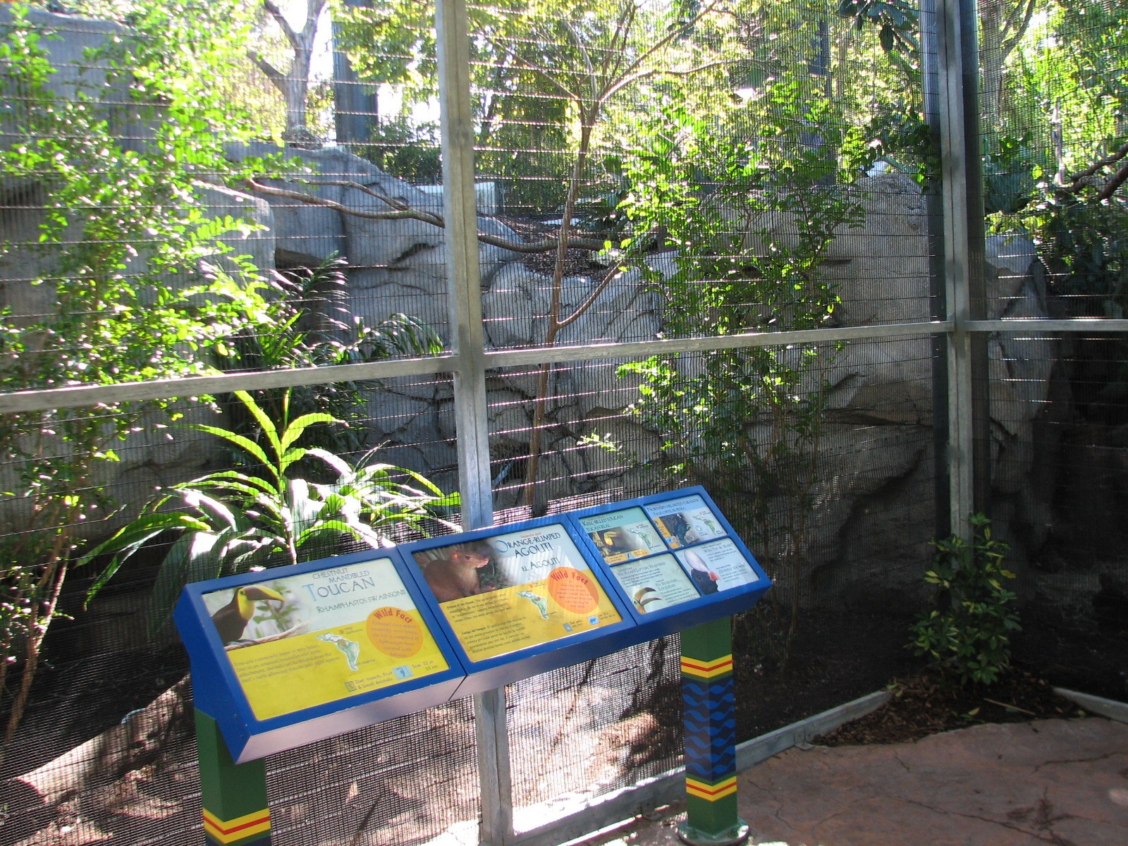 Amazon and Beyond - Amazon - Toucan Aviary