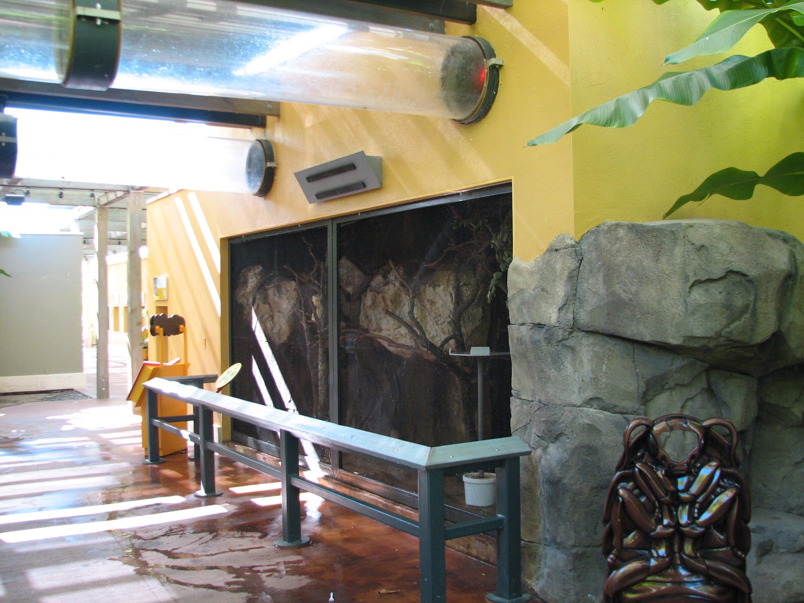 Amazon and Beyond - Atlantic Forest - Bat Exhibit