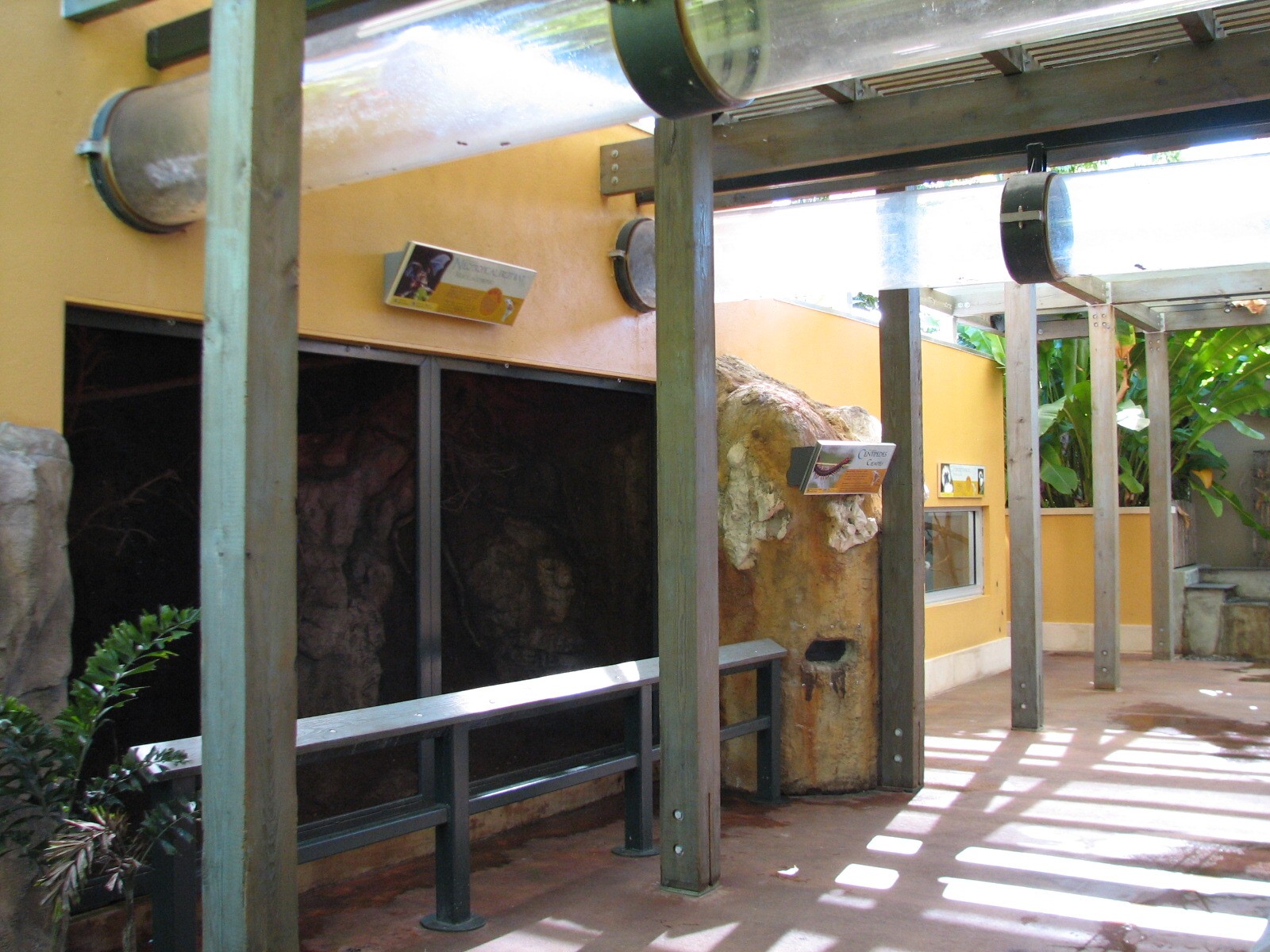 Amazon and Beyond - Atlantic Forest - Bat Exhibit