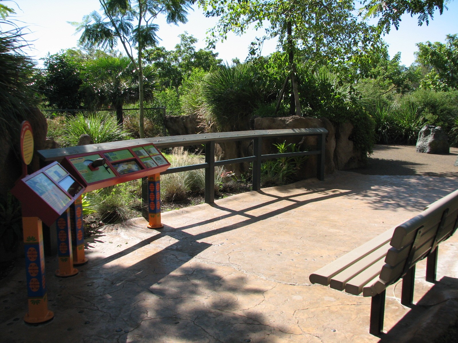 Amazon and Beyond - Atlantic Forest - Giant Anteater Exhibit Viewing Area
