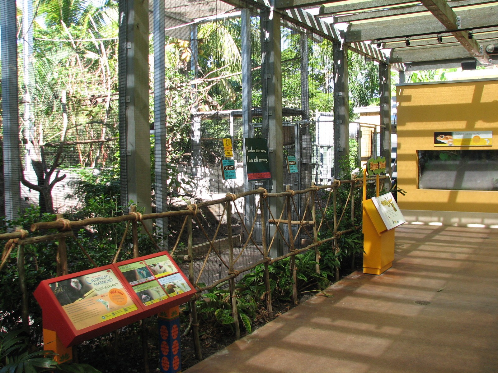 Amazon and Beyond - Atlantic Forest - Mixed-Species Exhibit