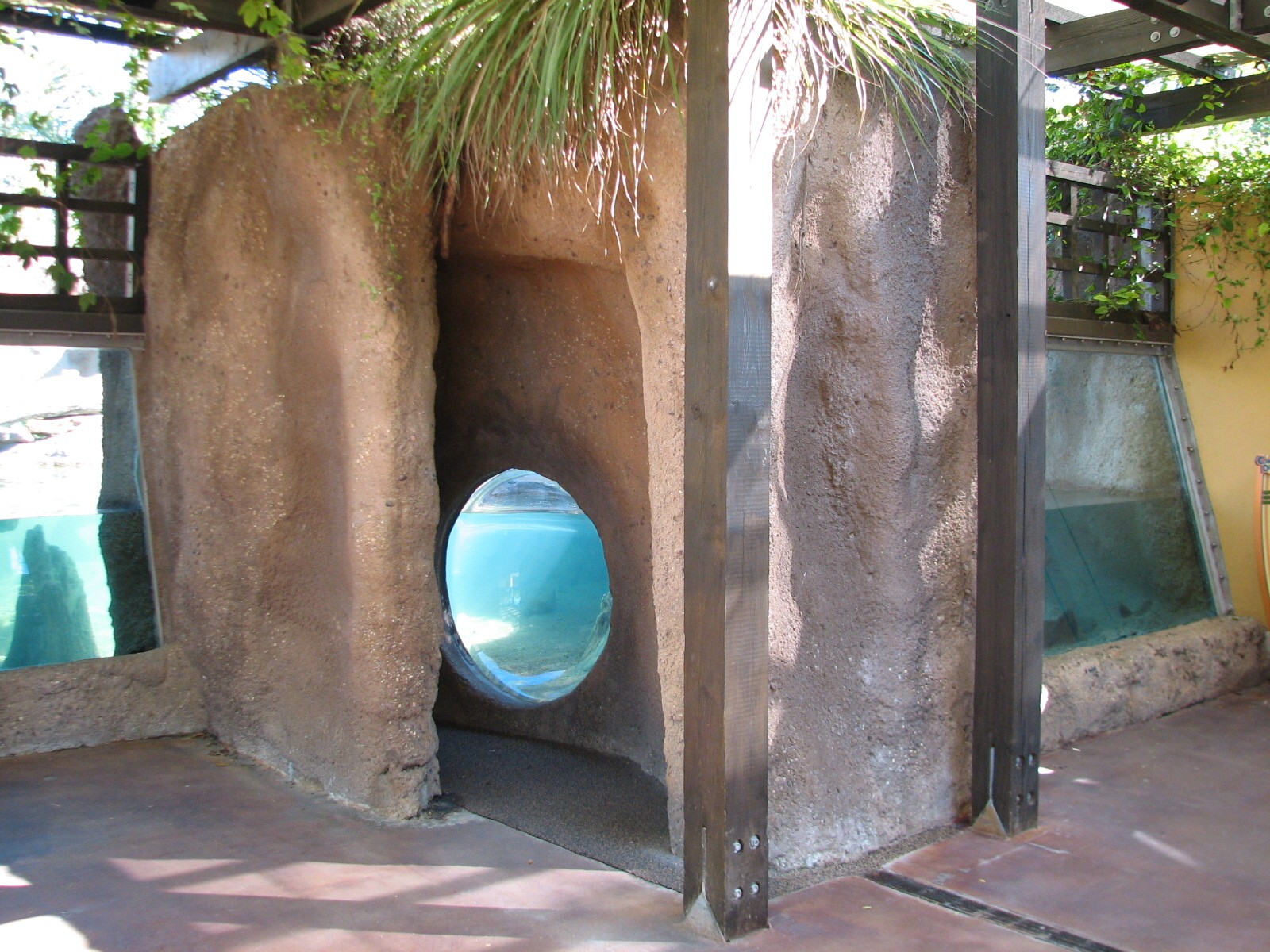 Amazon and Beyond - Atlantic Forest - Otter Shelter Viewing Area