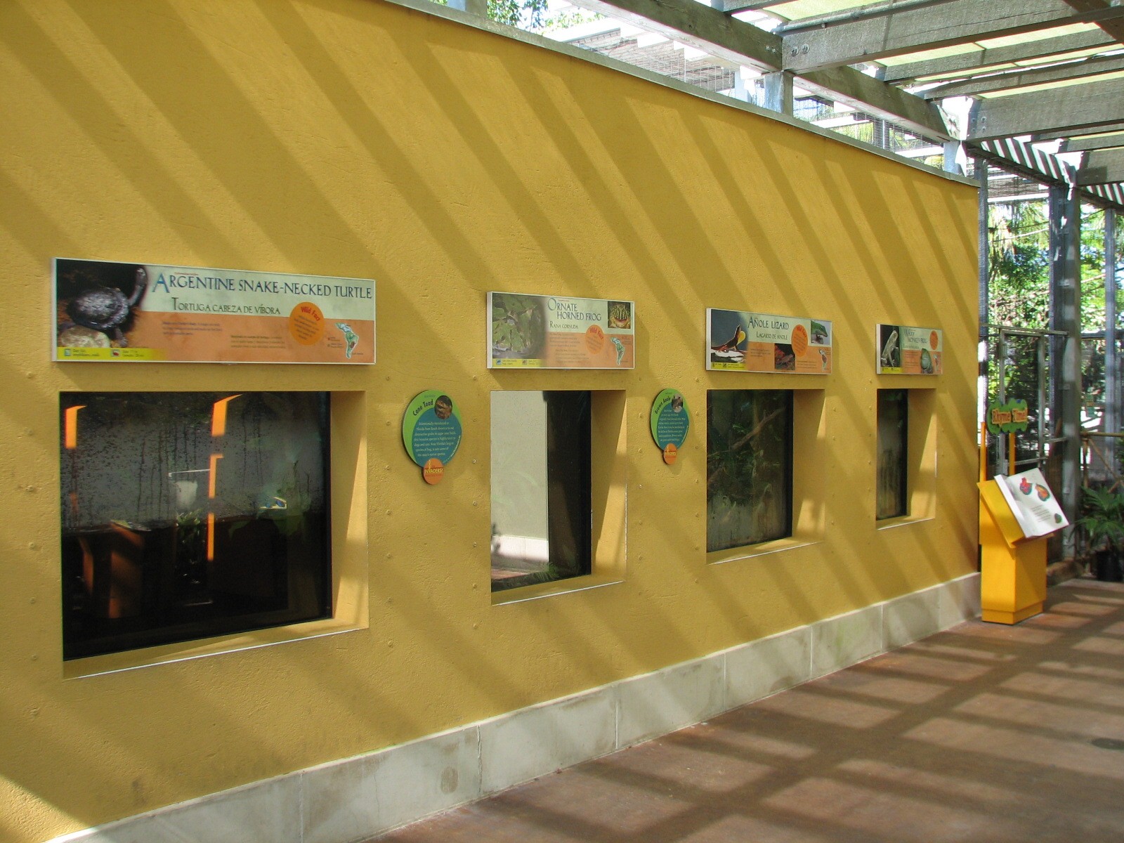 Amazon and Beyond - Atlantic Forest - Shelter Exhibits