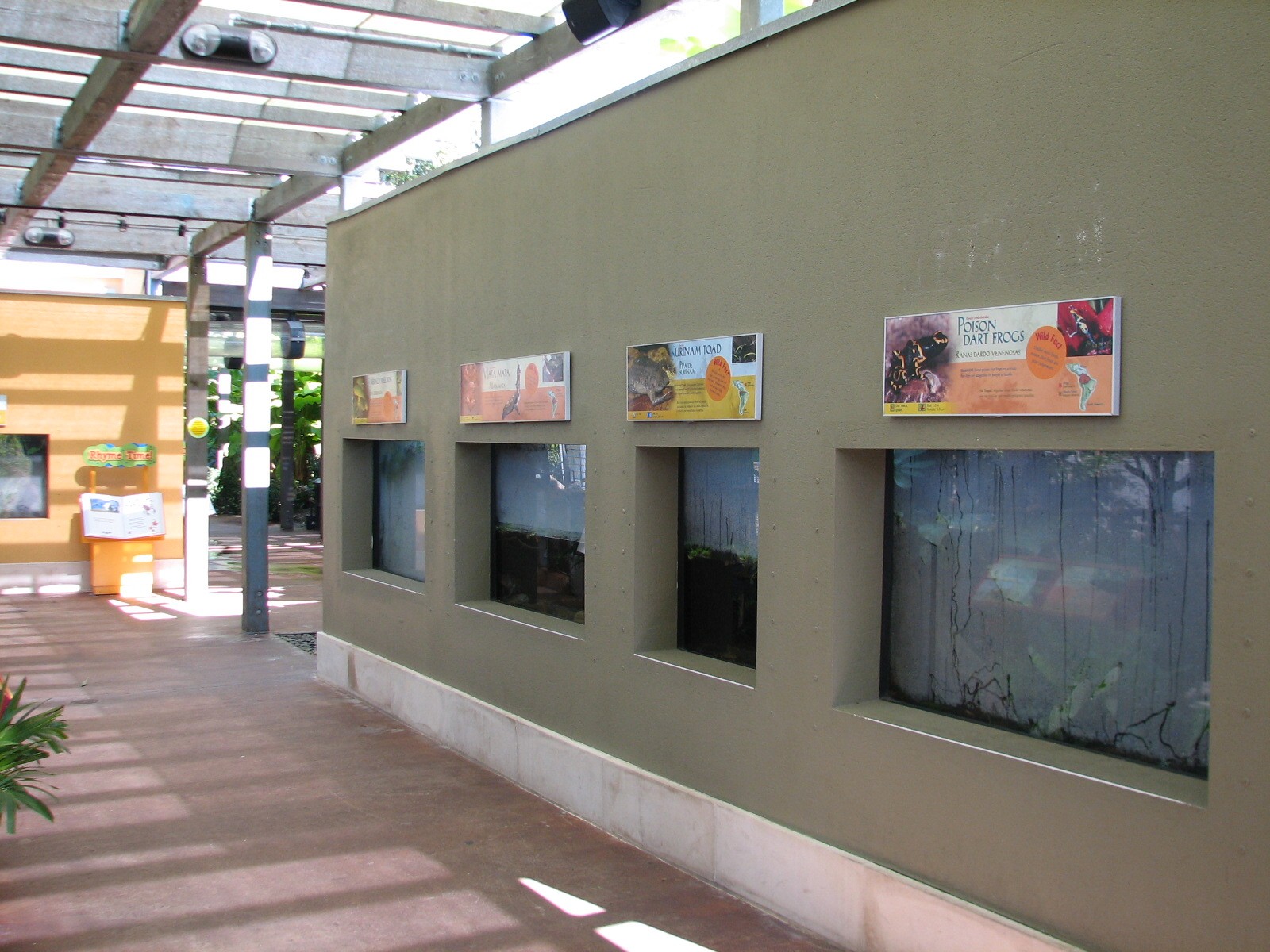 Amazon and Beyond - Atlantic Forest - Shelter Exhibits