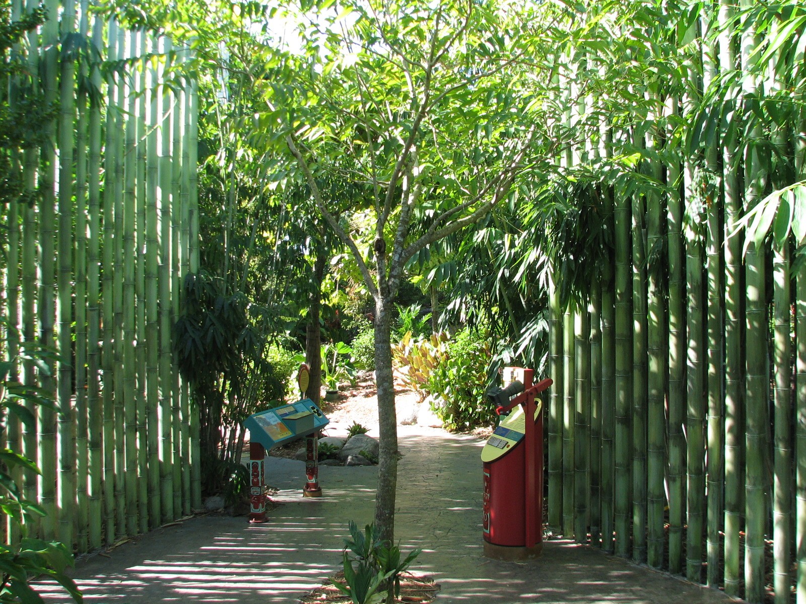 Amazon and Beyond - Cloud Forest - Jaguar Exhibit Viewing Path