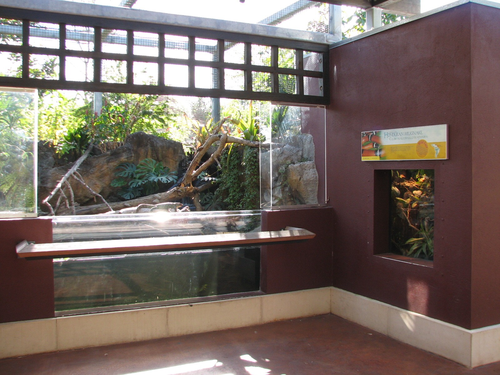 Amazon and Beyond - Cloud Forest - Jaguar Shelter Exhibits