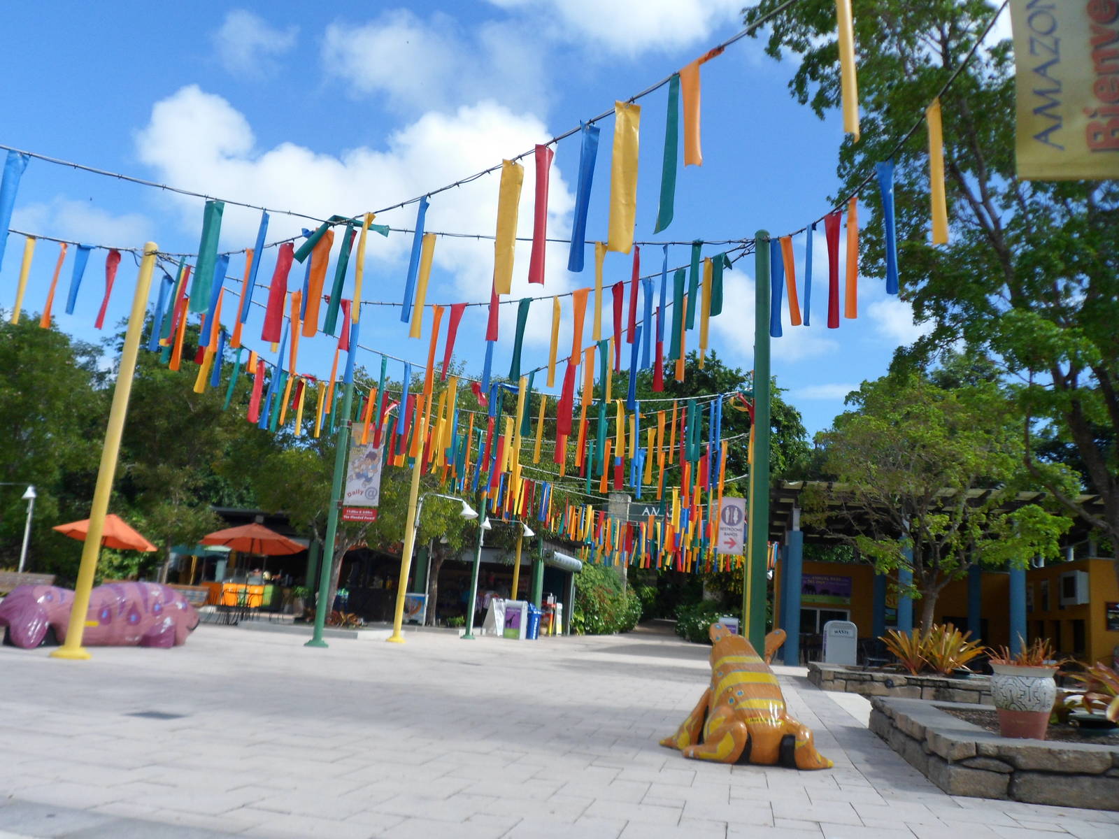 Amazon and Beyond Entery Plaza