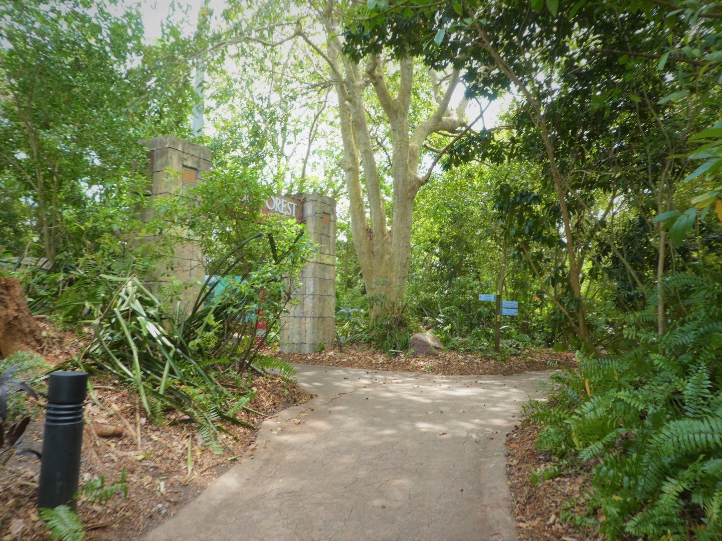 Amazon and Beyond - General View