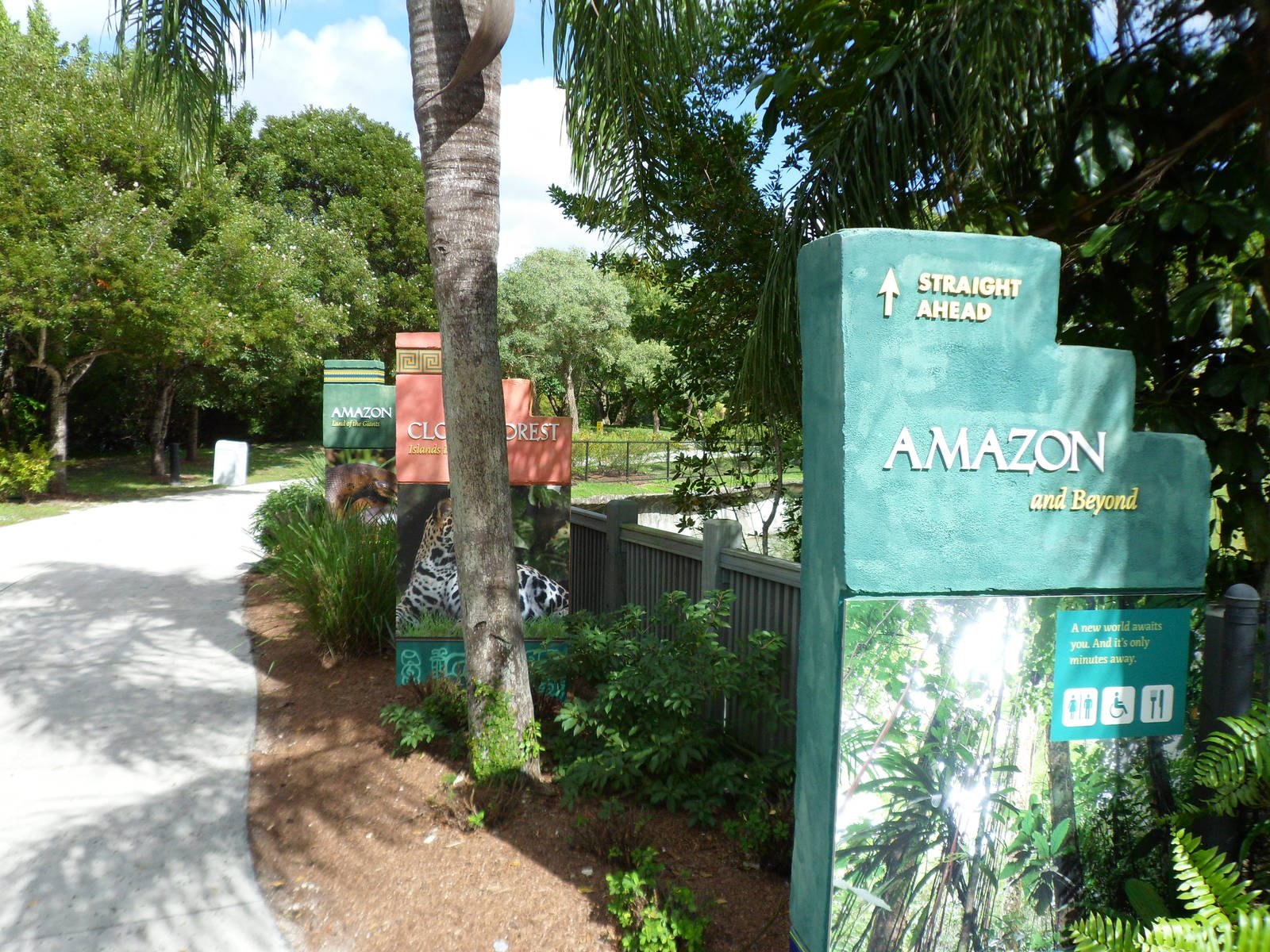 Amazon and Beyond Sign