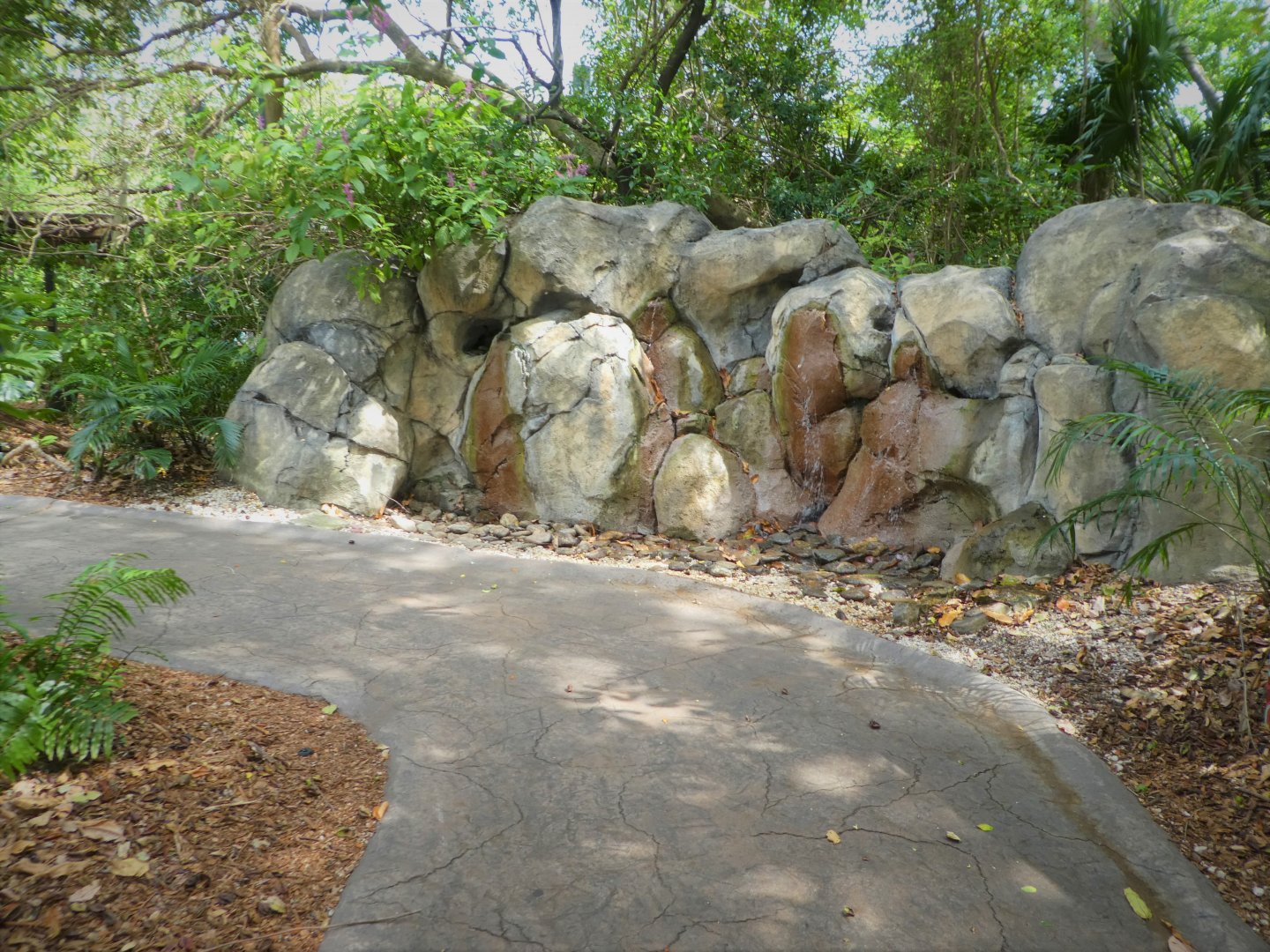 Amazon and Beyond - Water Feature