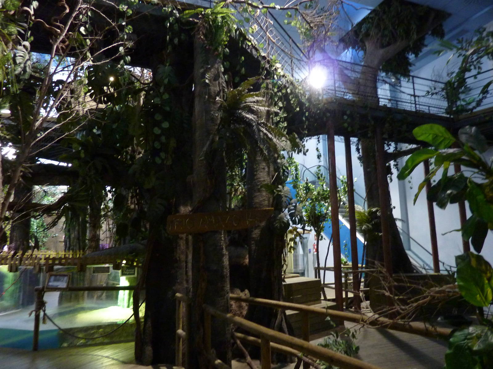 Amazon area, 10th April 2012