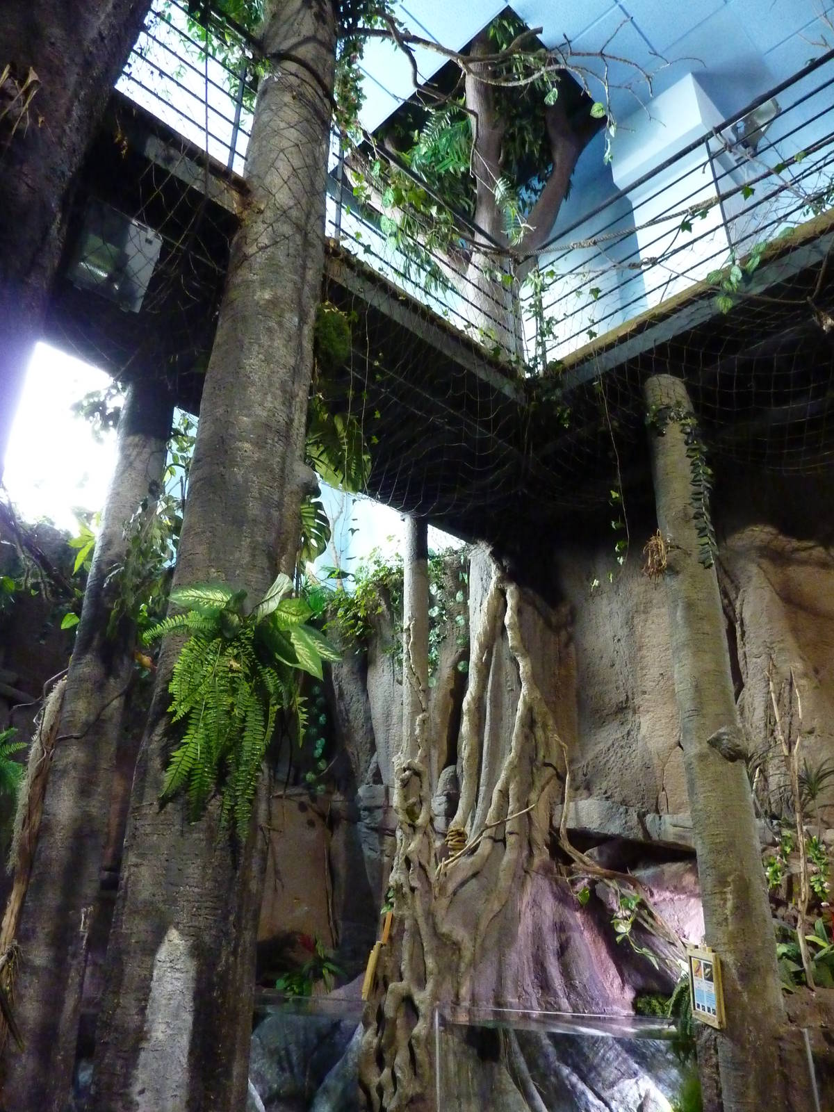 Amazon area, 10th April 2012