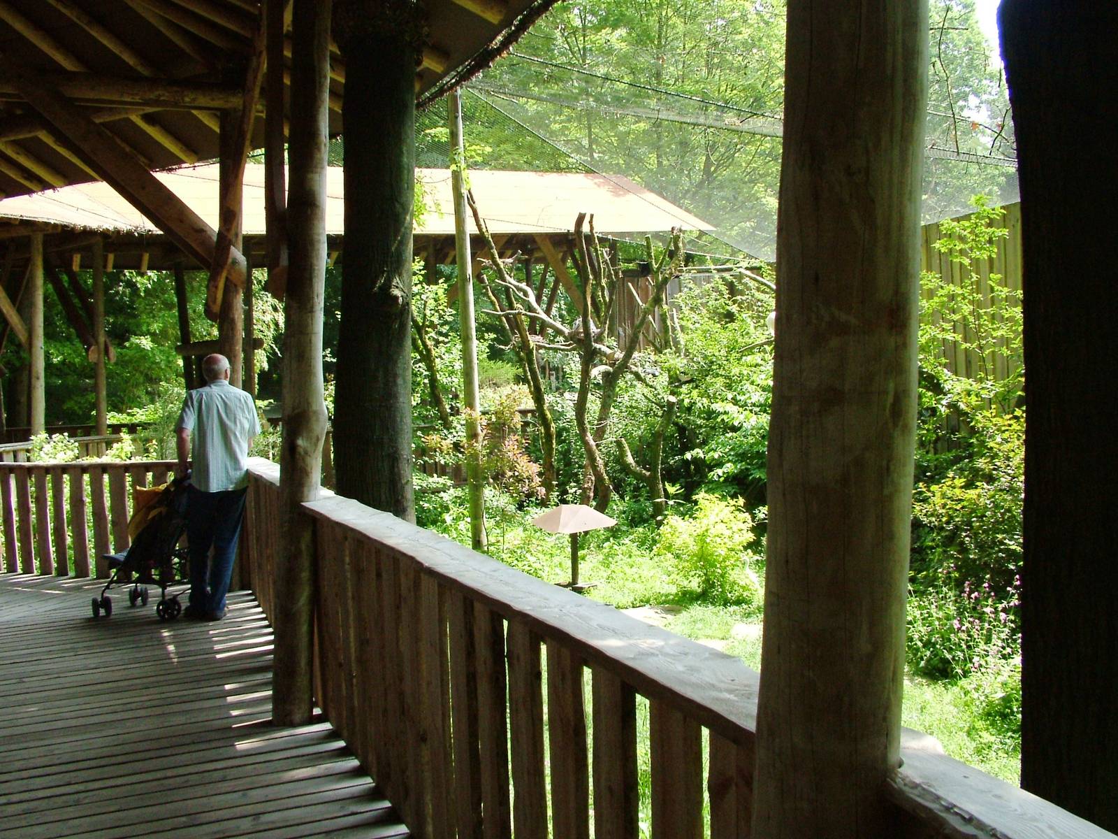 Amazon Aviary at Apenheul, 30/05/12