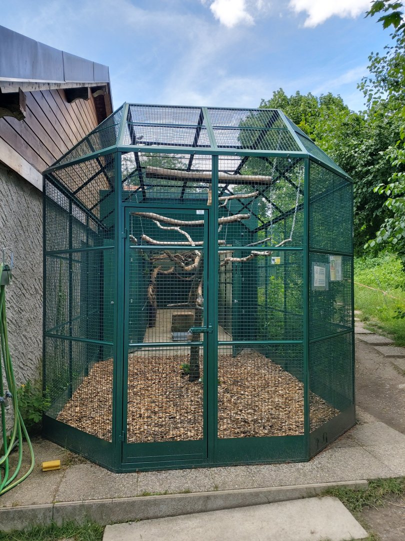 Amazon aviary - Bioparc Genève