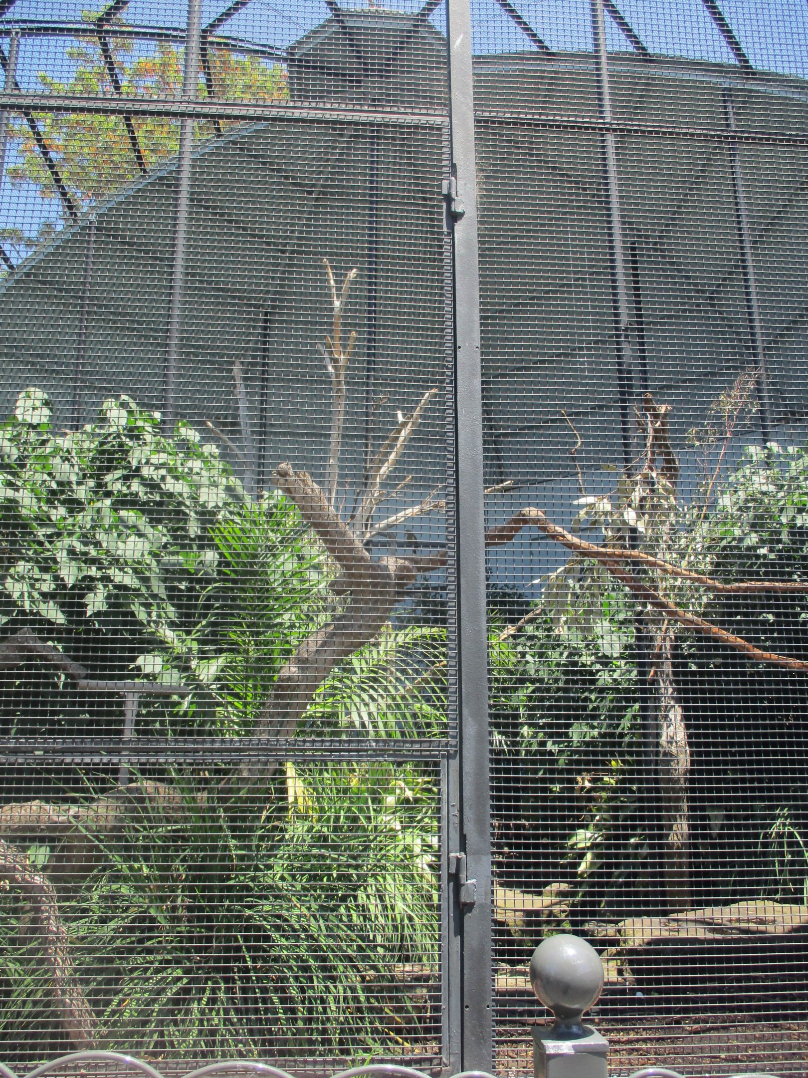 Amazon Aviary Interior