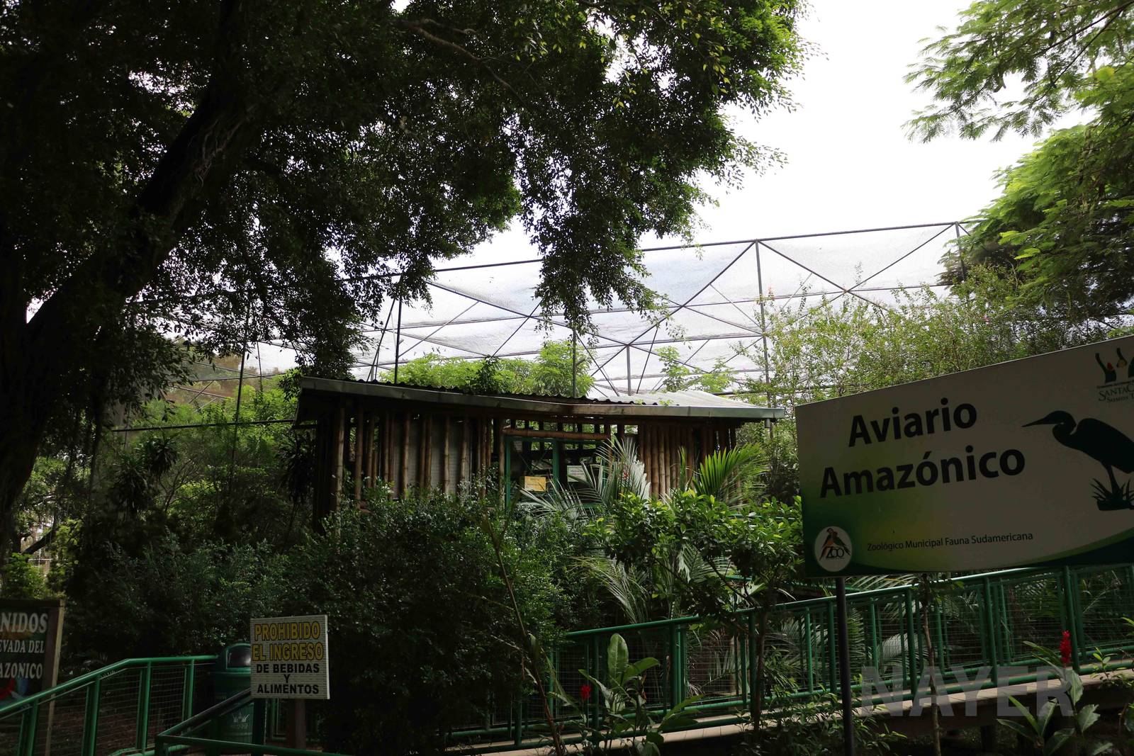 Amazon aviary, March 2016