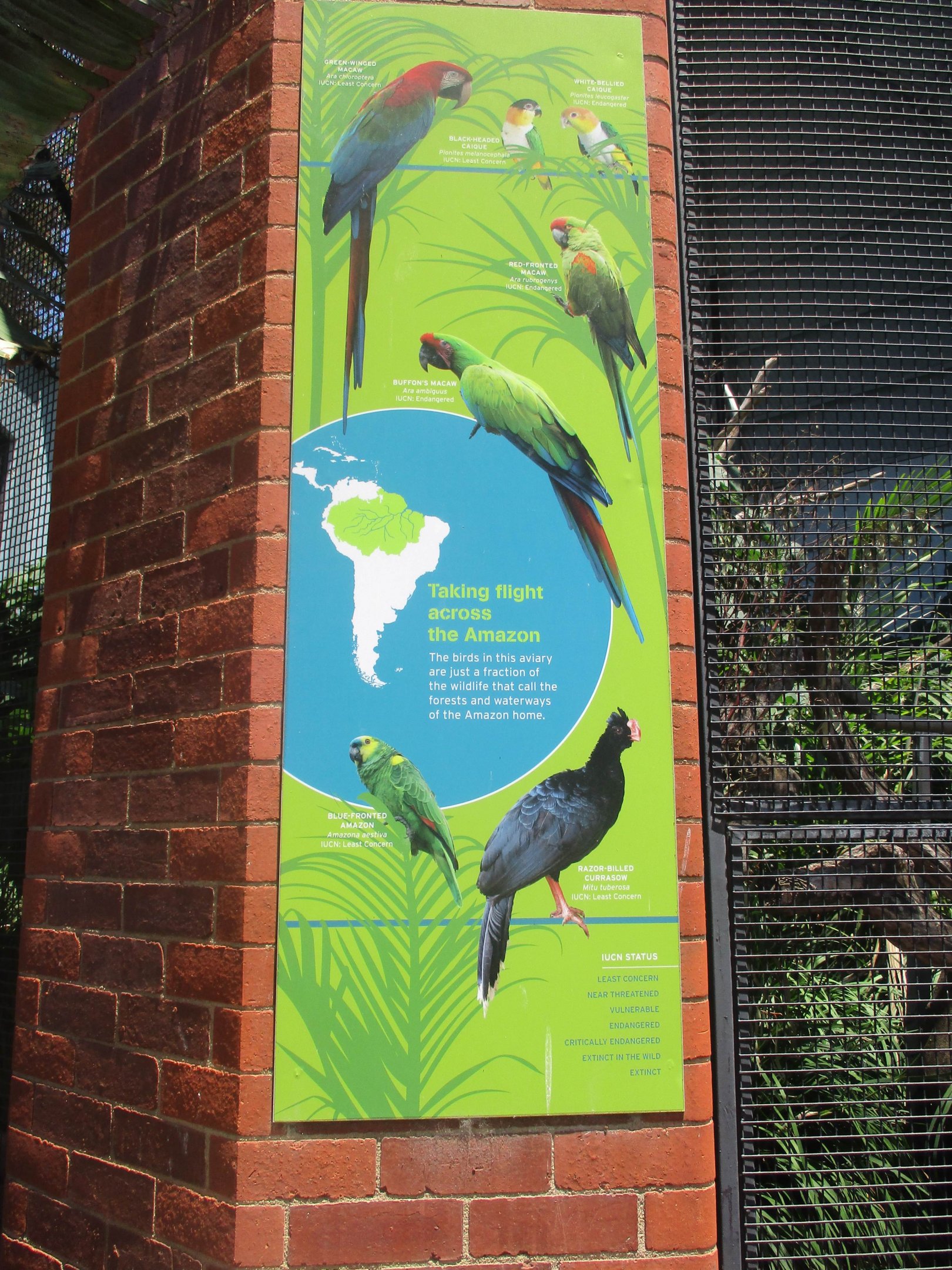 Amazon Aviary Signage