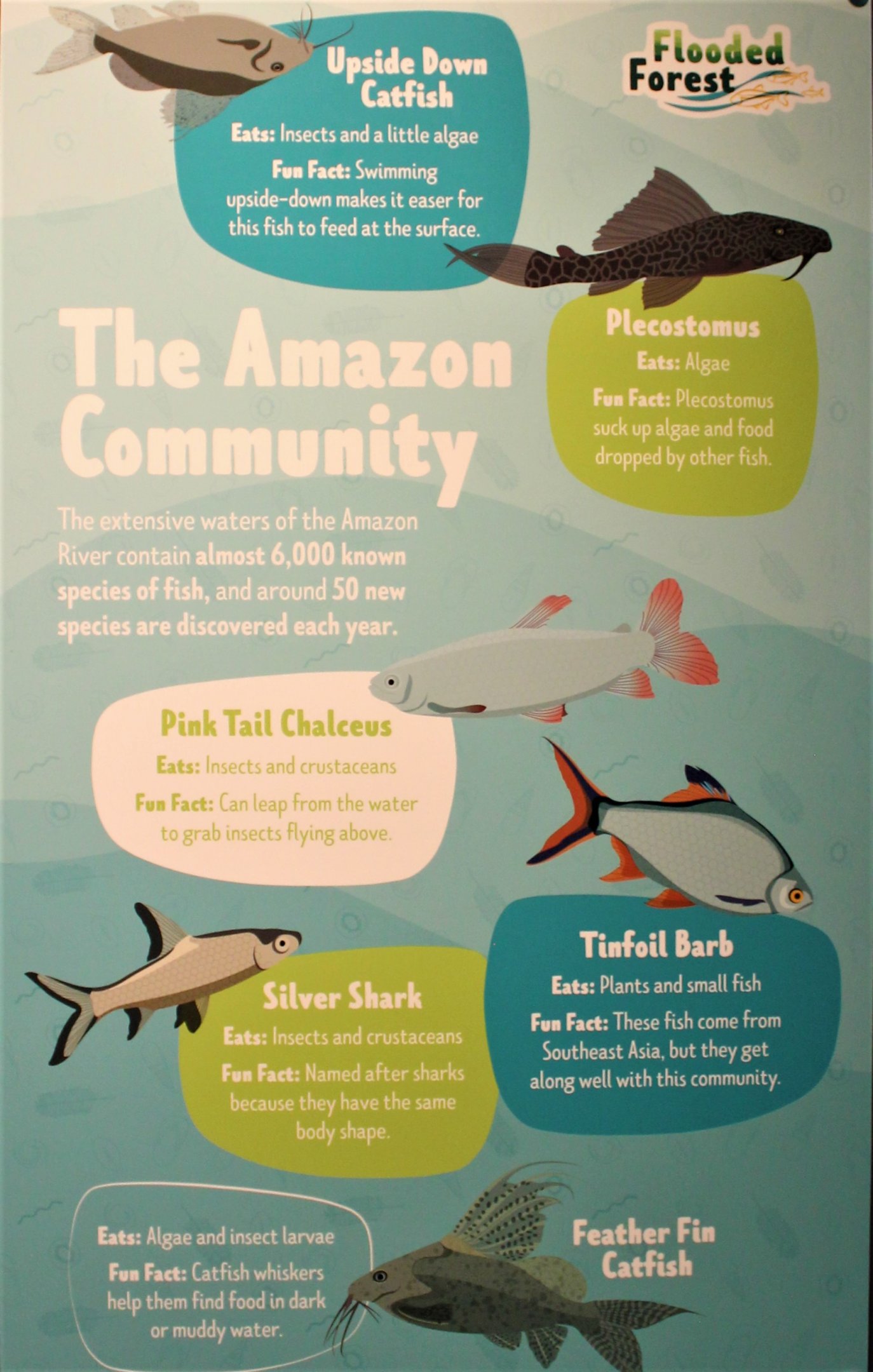 Amazon Community signage