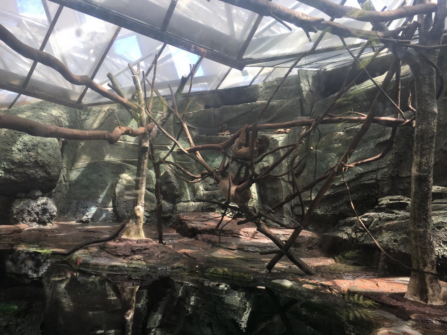 Amazon dome- Nagasaki Bio Park