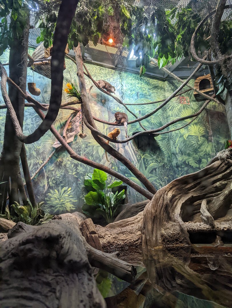 Amazon Edge at the Greensboro Science Center