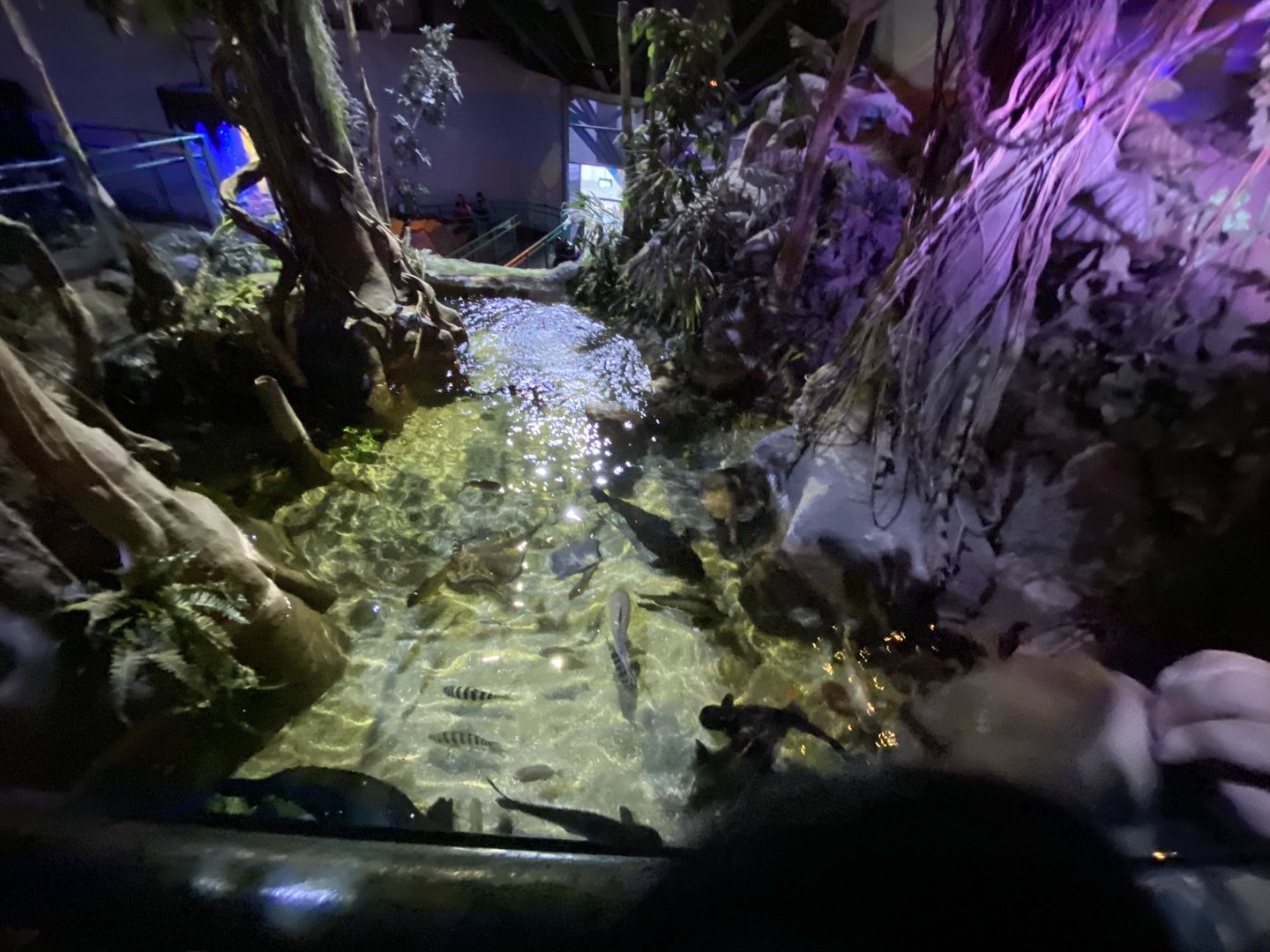 Amazon exhibit 070123