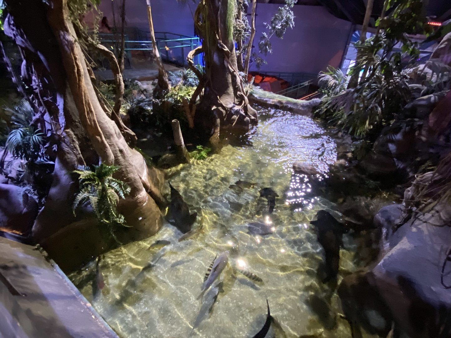 Amazon exhibit 070123