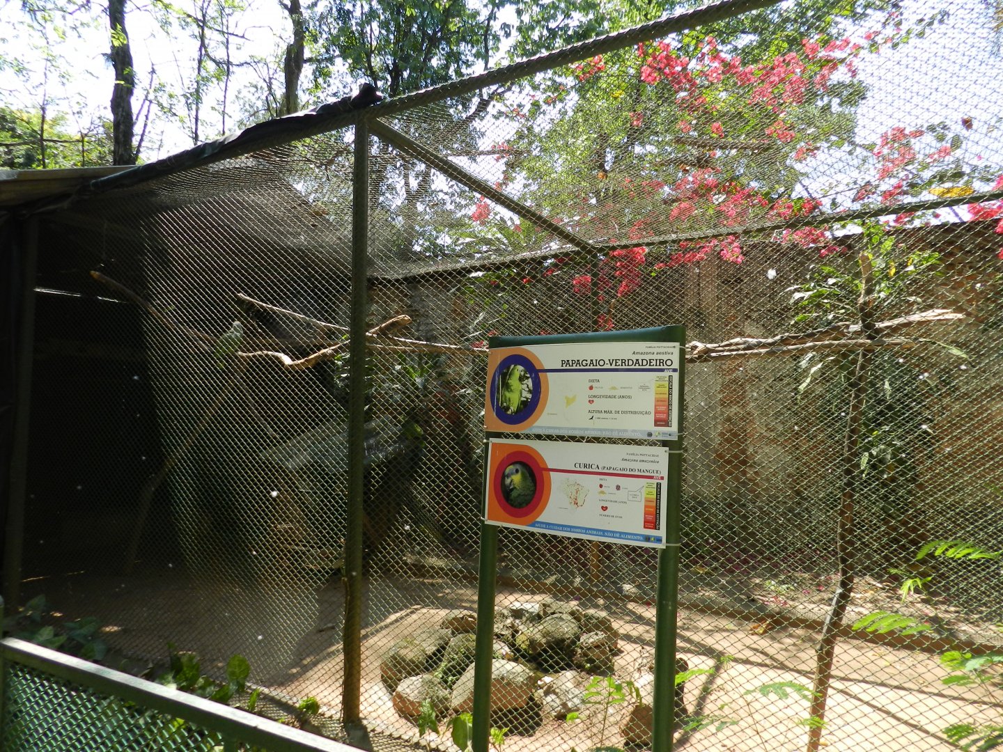 Amazon exhibit - Campinas zoo (BDJ)