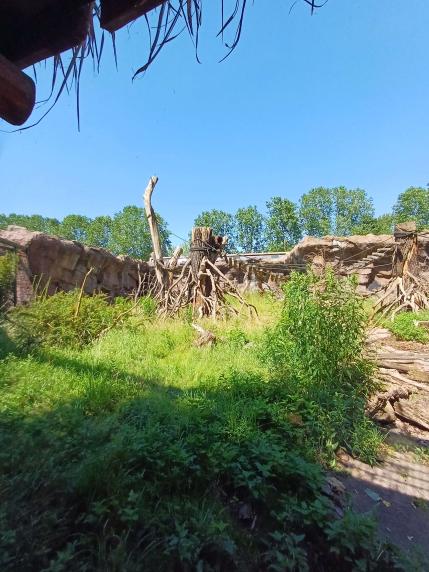 Amazon exhibit in affenhaus